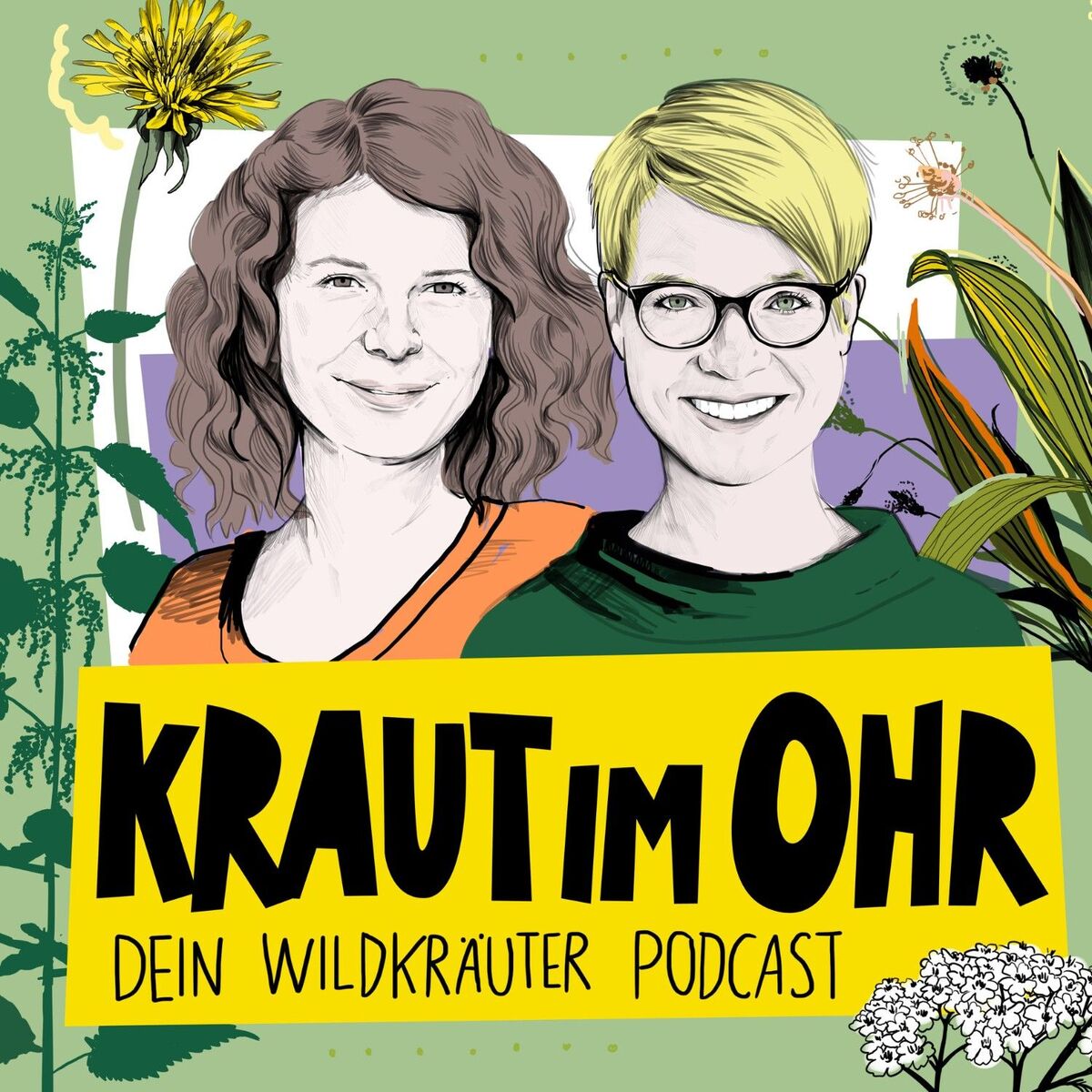 Show cover of Kraut im Ohr - Dein Wildkräuter Podcast