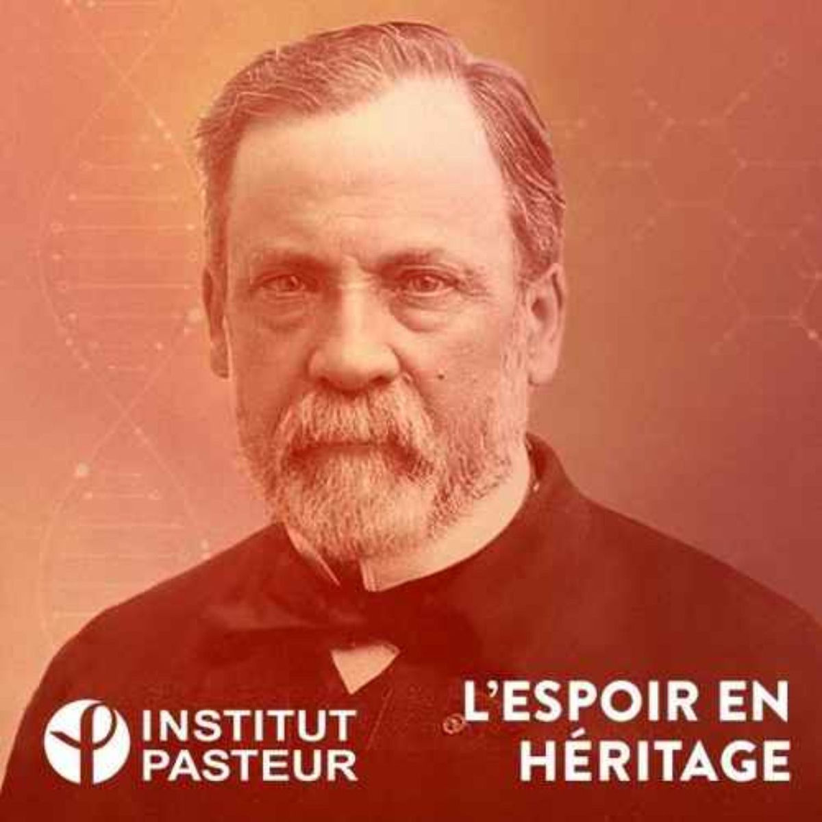 Show cover of Institut Pasteur - legs