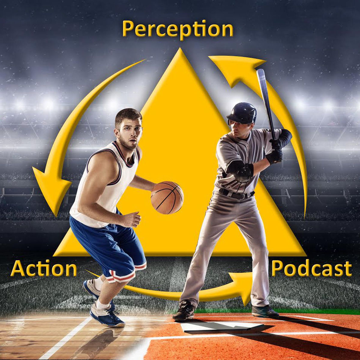 Show cover of The Perception & Action Podcast