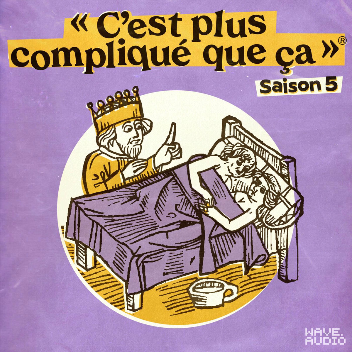 Show cover of C'est plus compliqué que ça