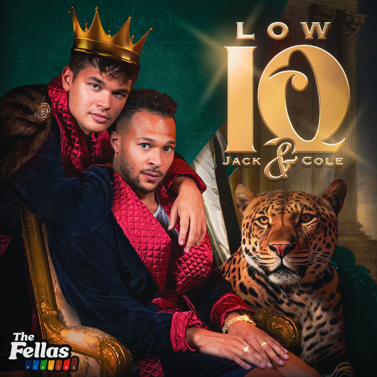 Show cover of Low IQ