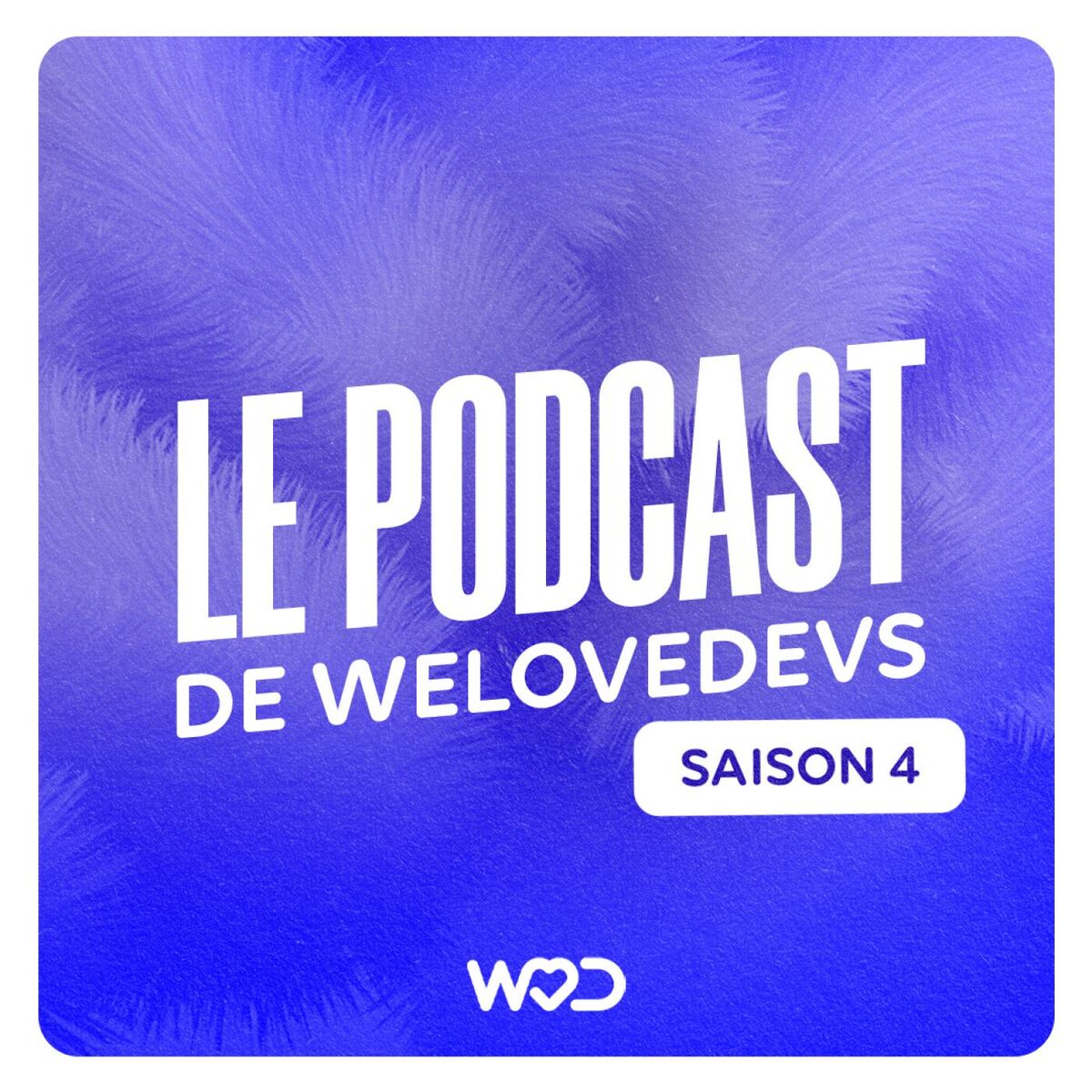 Show cover of WeLoveDevs - Le Podcast