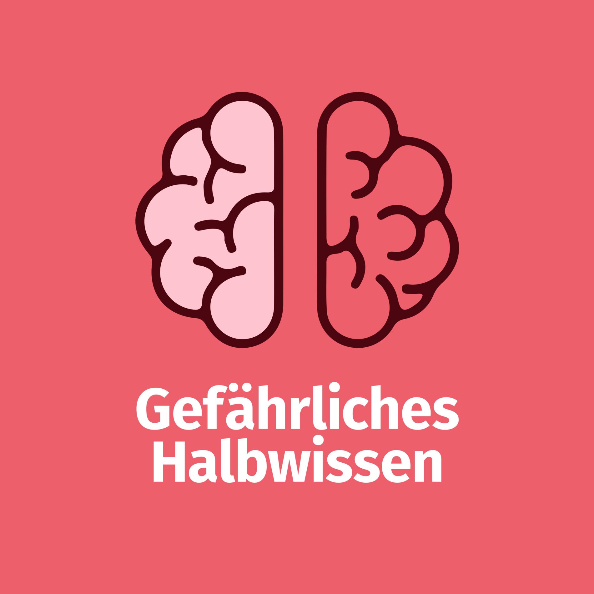 Show cover of Gefährliches Halbwissen
