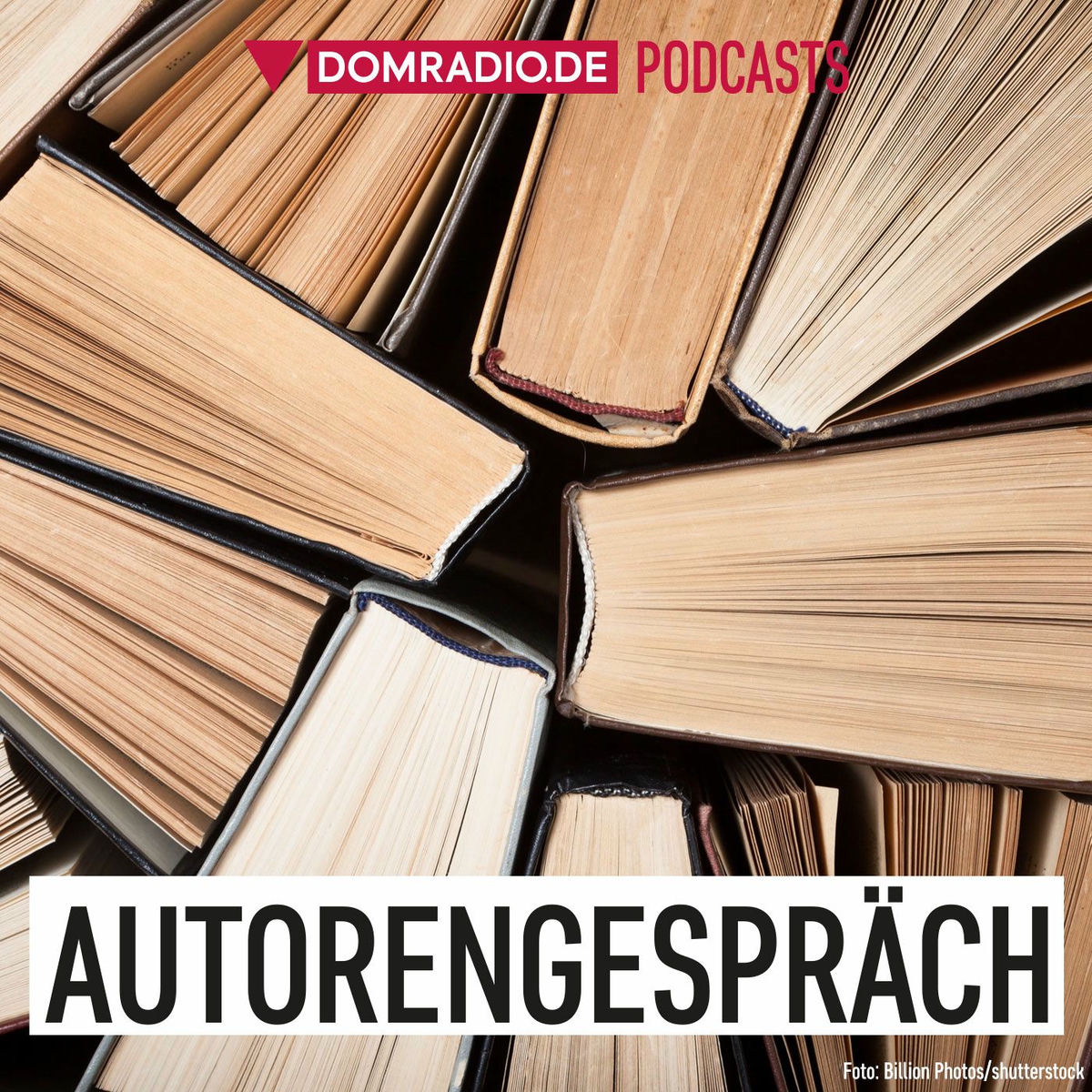 Show cover of Werke-Autorengespräch