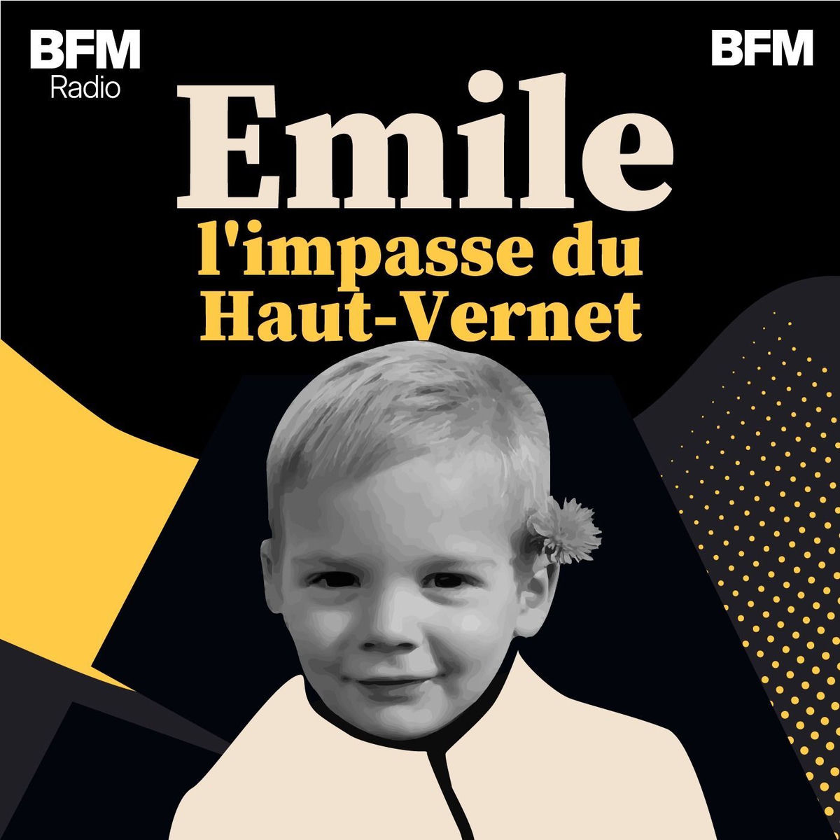 Show cover of Emile, l'impasse du Haut-Vernet