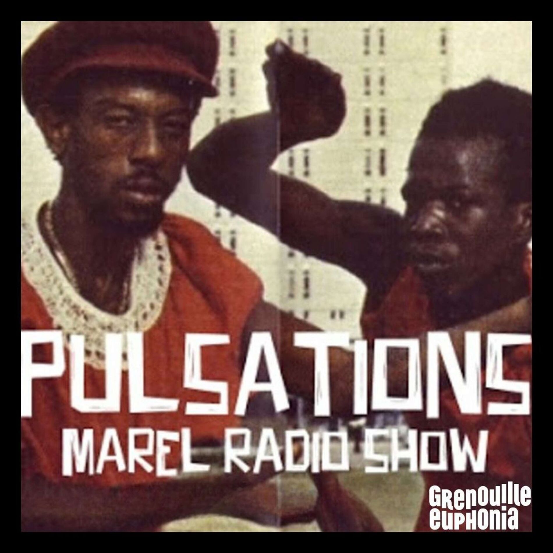 Show cover of Pulsations - Marel