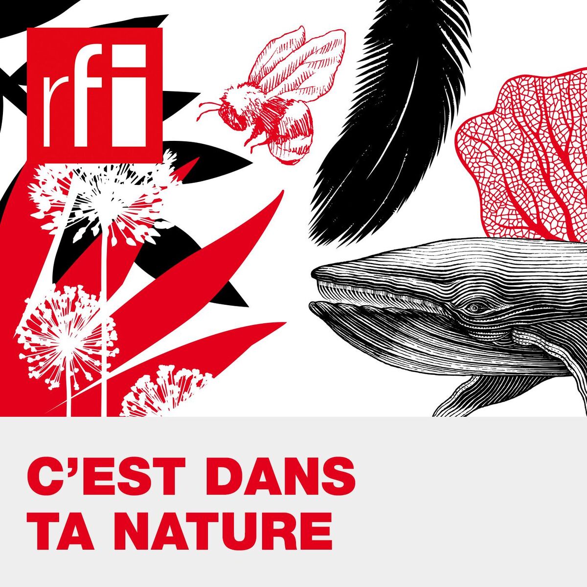 Show cover of C'est dans ta nature