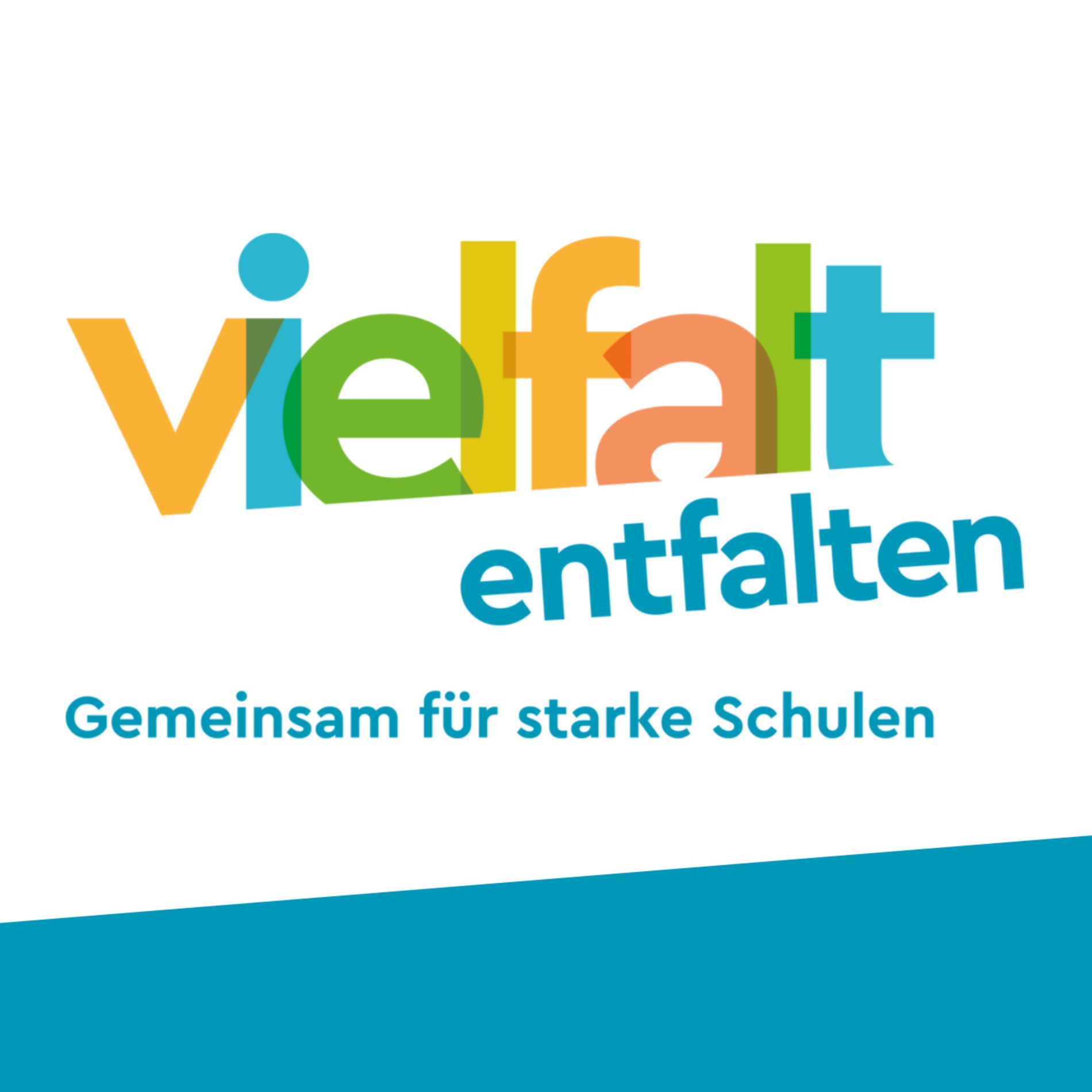 Show cover of Vielfalt entfalten - Gemeinsam für starke Schulen