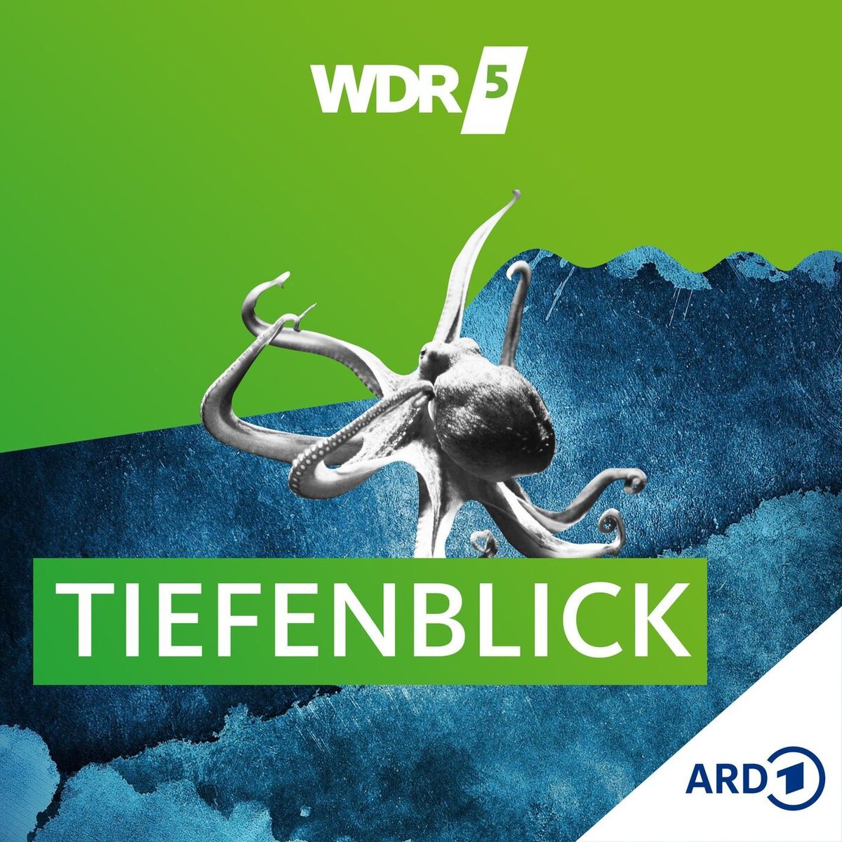 Show cover of WDR 5 Tiefenblick
