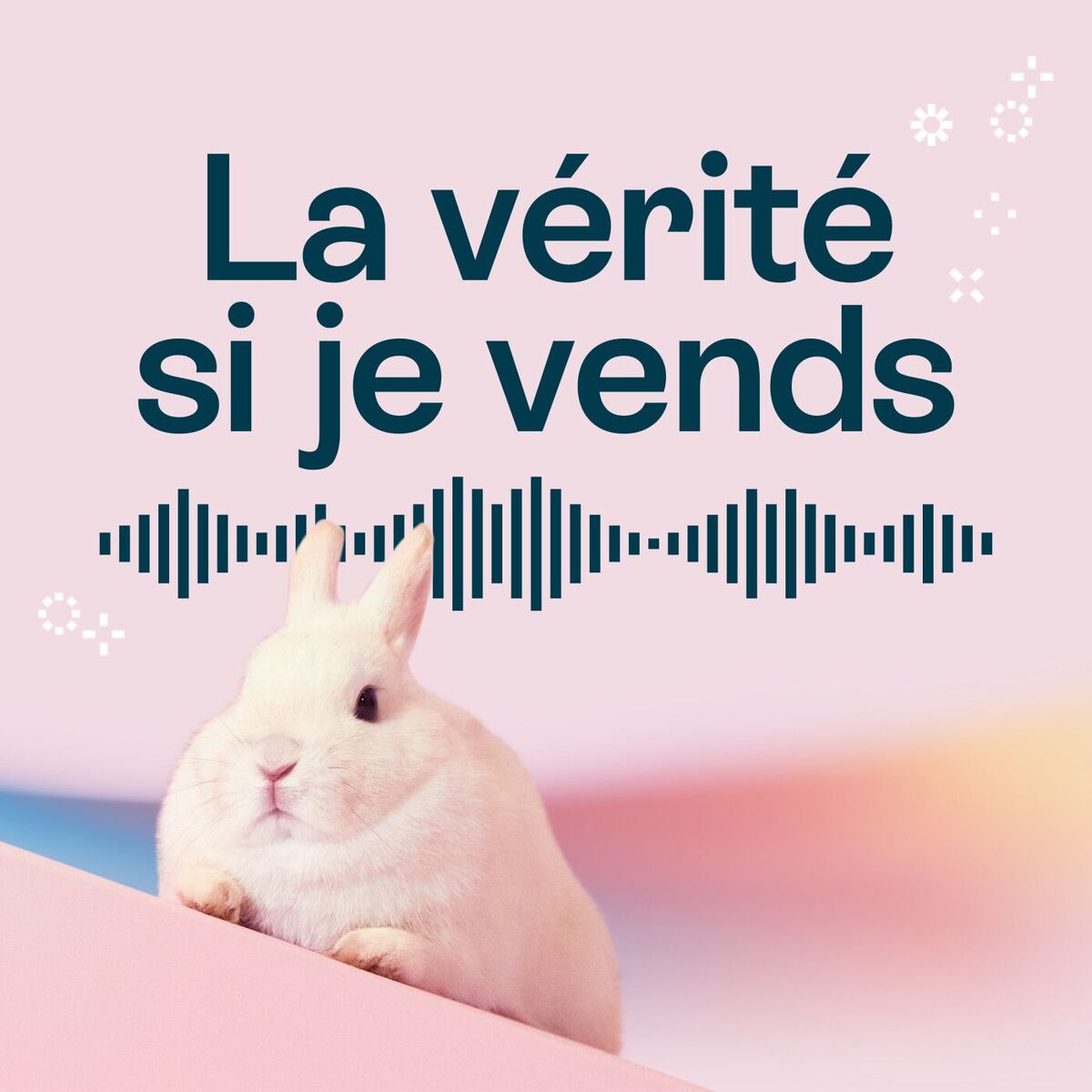 Show cover of La vérité si je vends