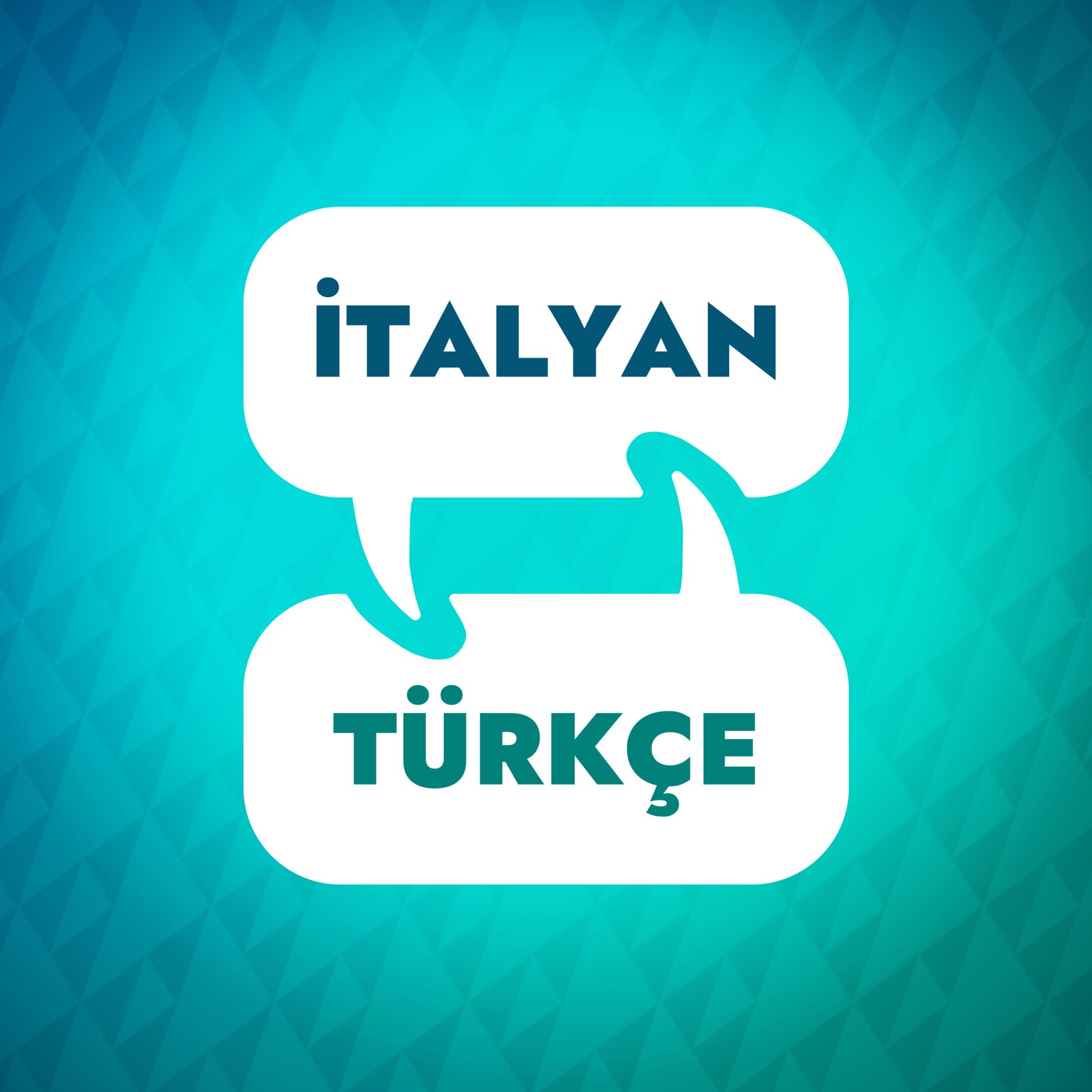 Show cover of İtalyanca Öğrenme Hızlandırıcısı