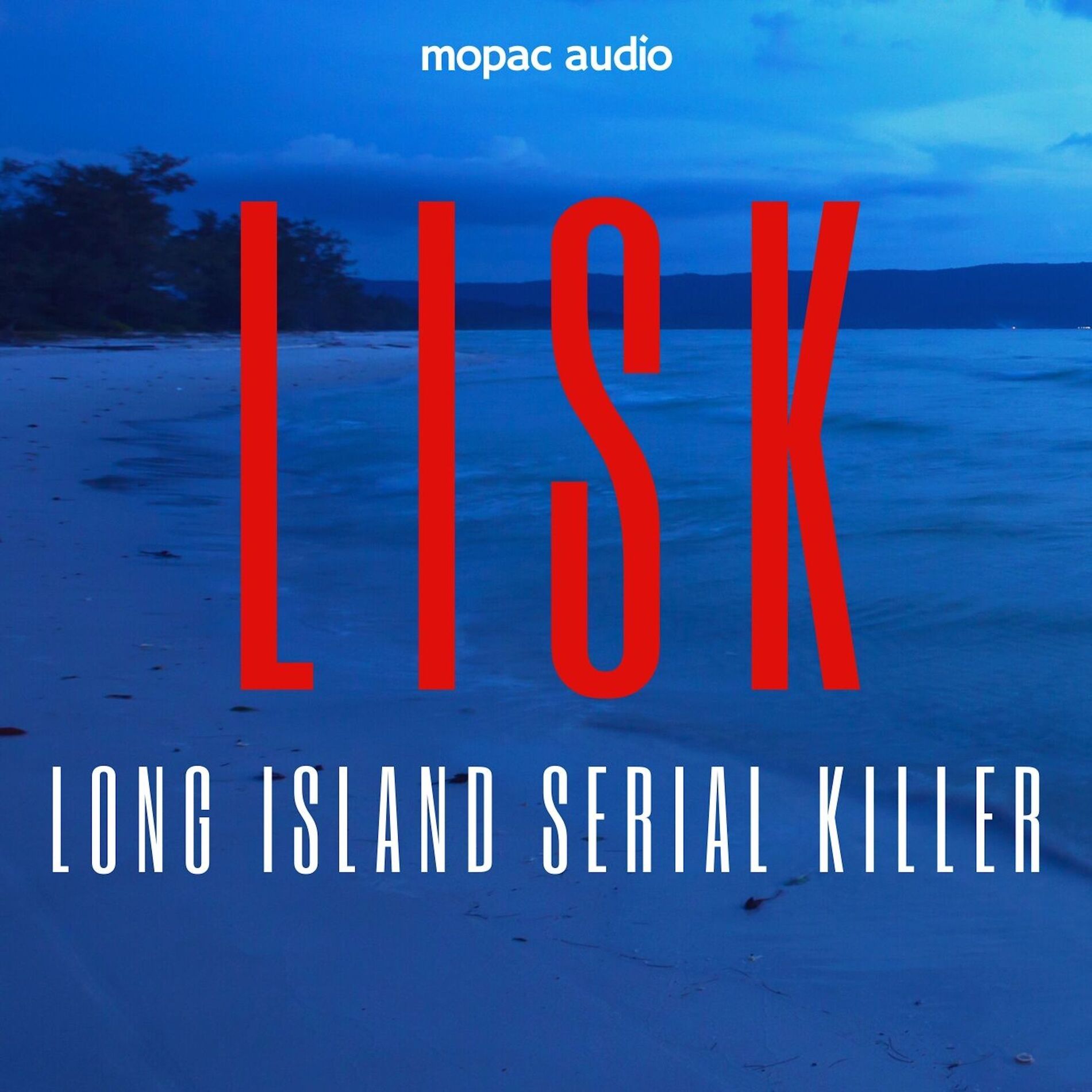 Show cover of LISK: Long Island Serial Killer