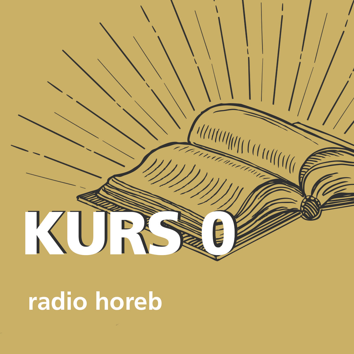 Show cover of Kurs 0 - Der radio horeb Einsteiger-Podcast in den katholischen Glauben
