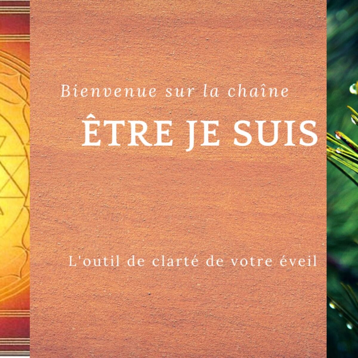 Show cover of Le lien privilégié en Amour OU lien Flamme Jumelle - 1ère partie