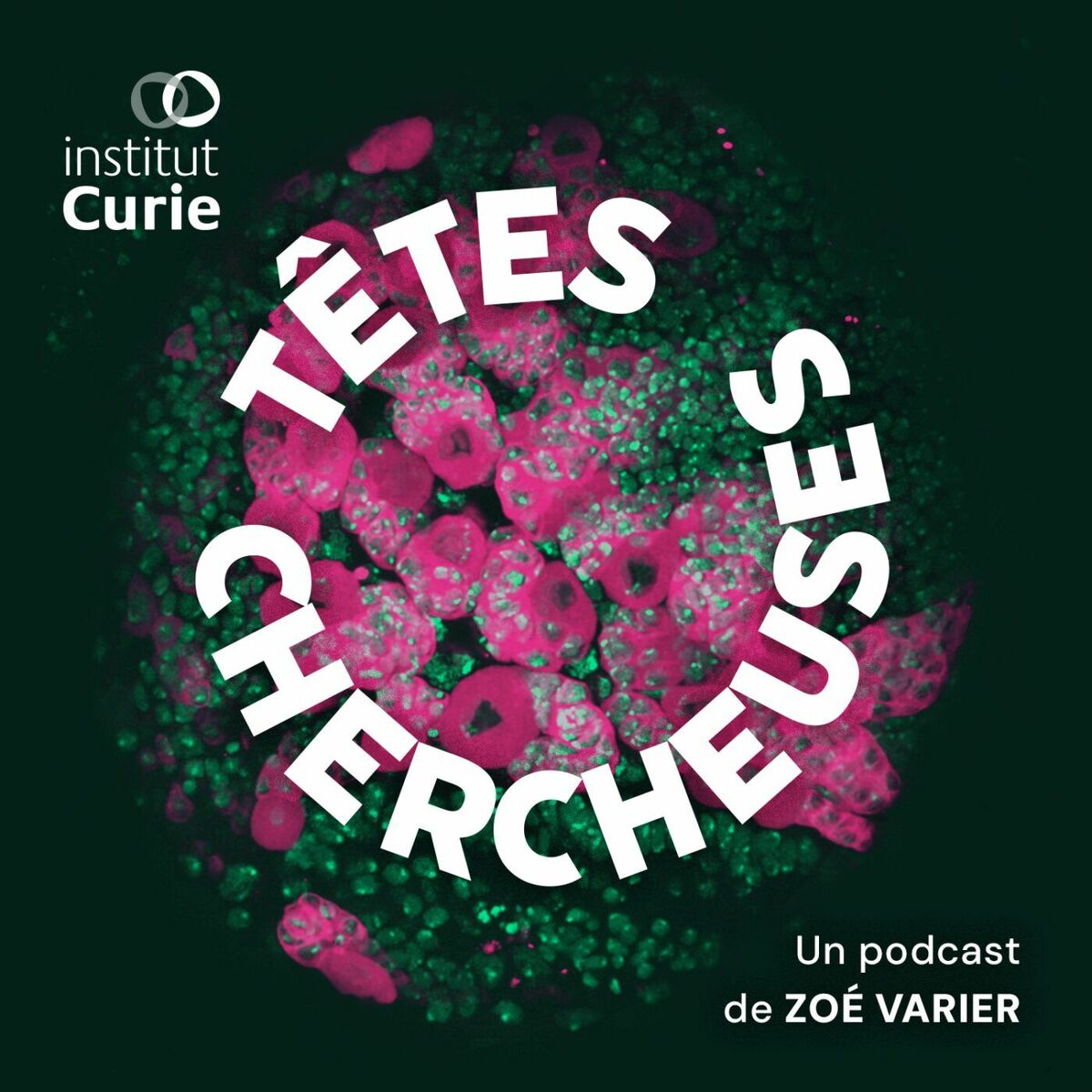 Show cover of Têtes Chercheuses