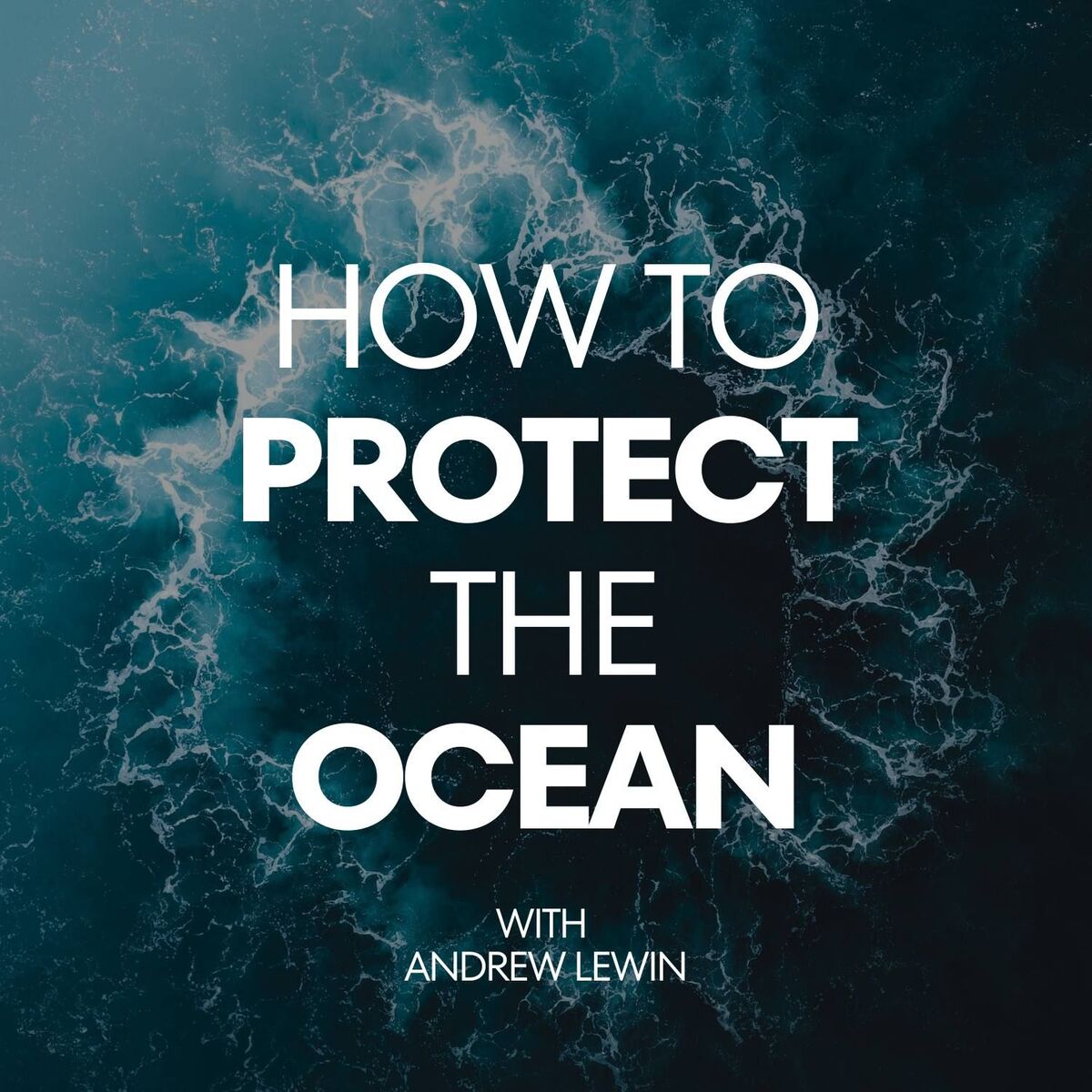 Show cover of How To Protect The Ocean