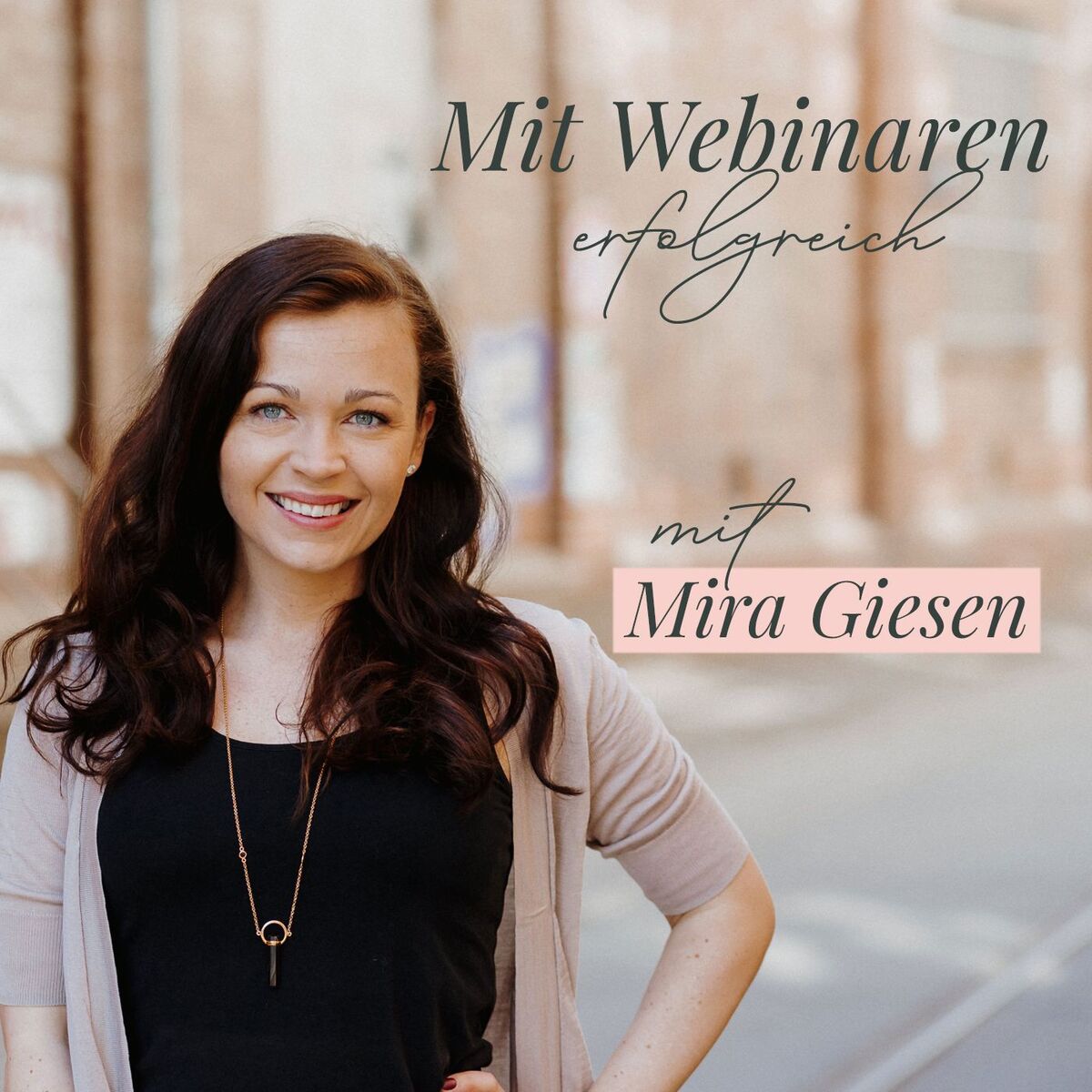 Show cover of Mit Webinaren erfolgreich
