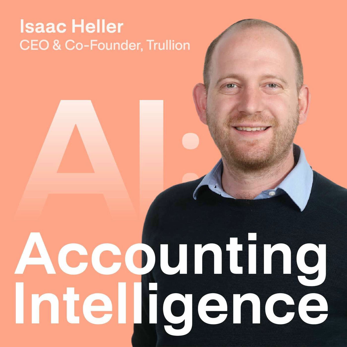 Show cover of AI: Accounting Intelligence