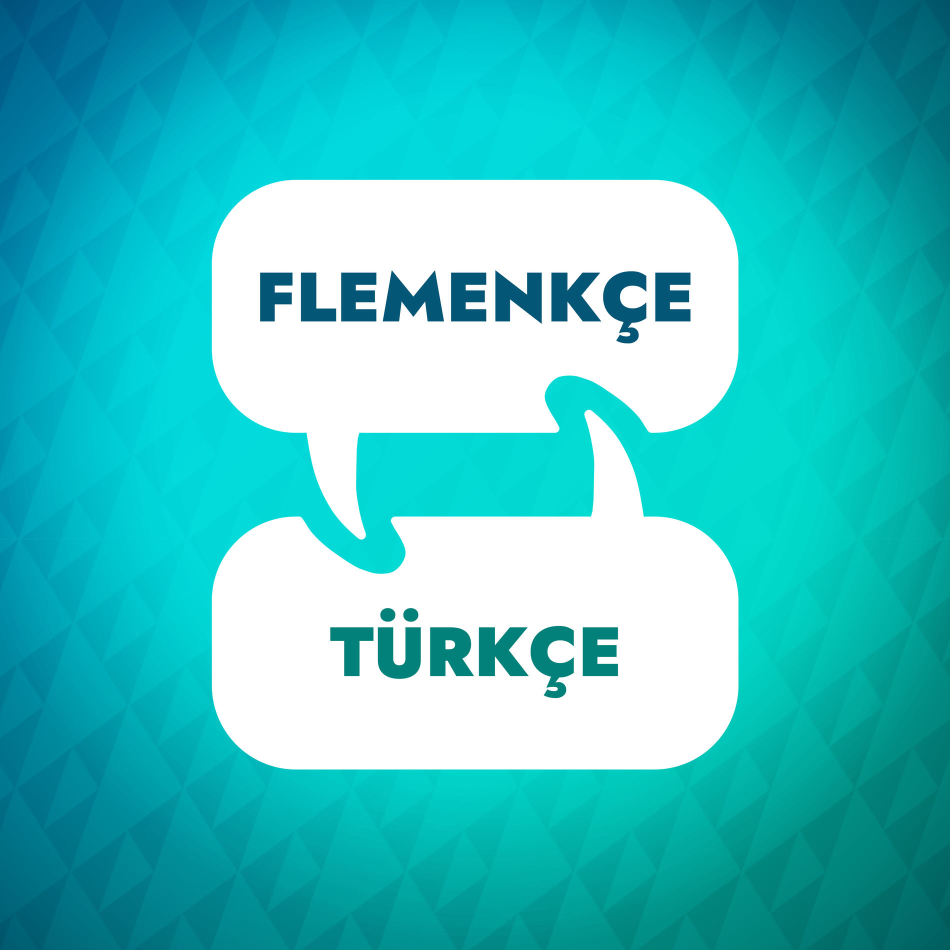 Show cover of Hollandaca Öğrenme Hızlandırıcı