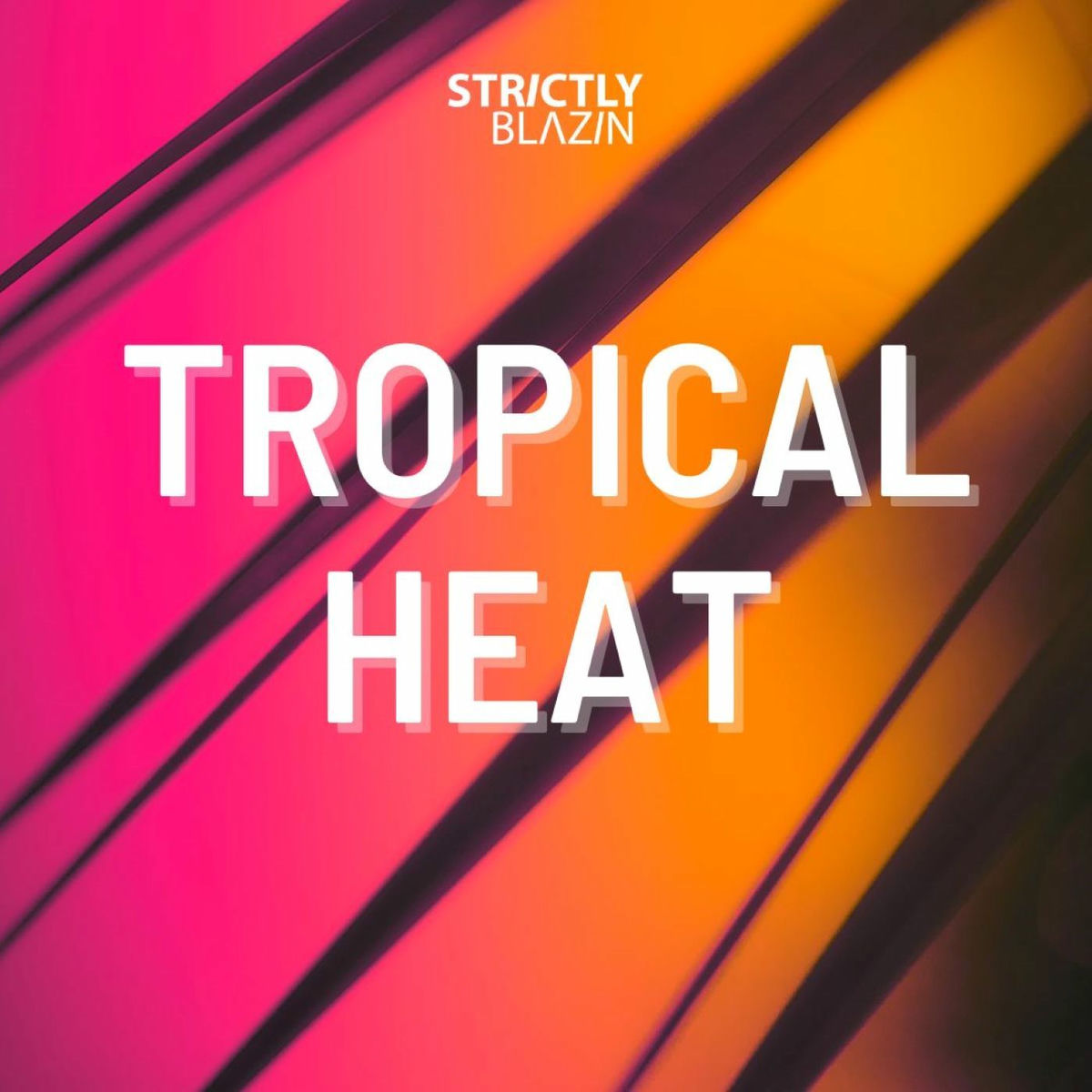 Show cover of Tropical Heat