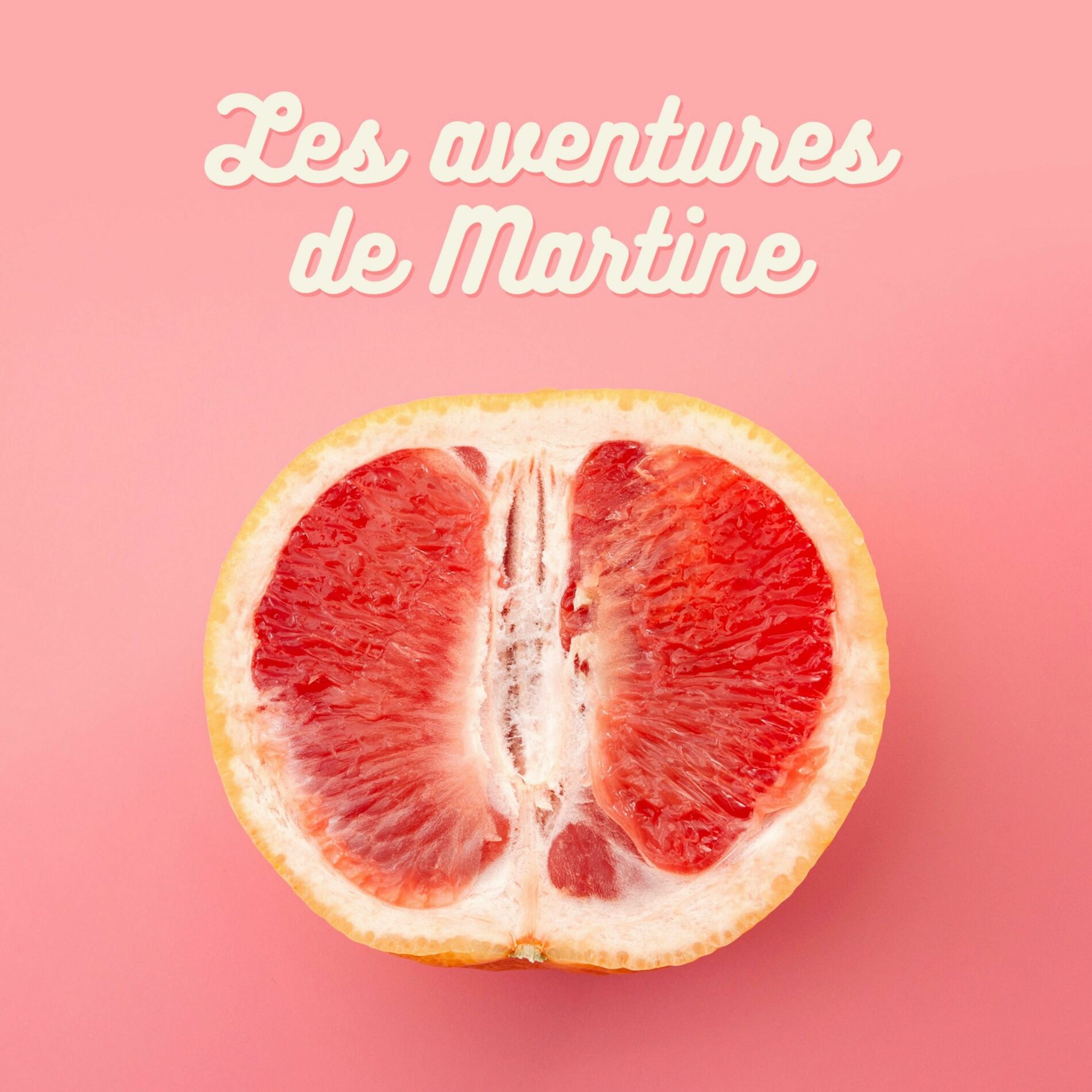 Show cover of Les aventures de Martine