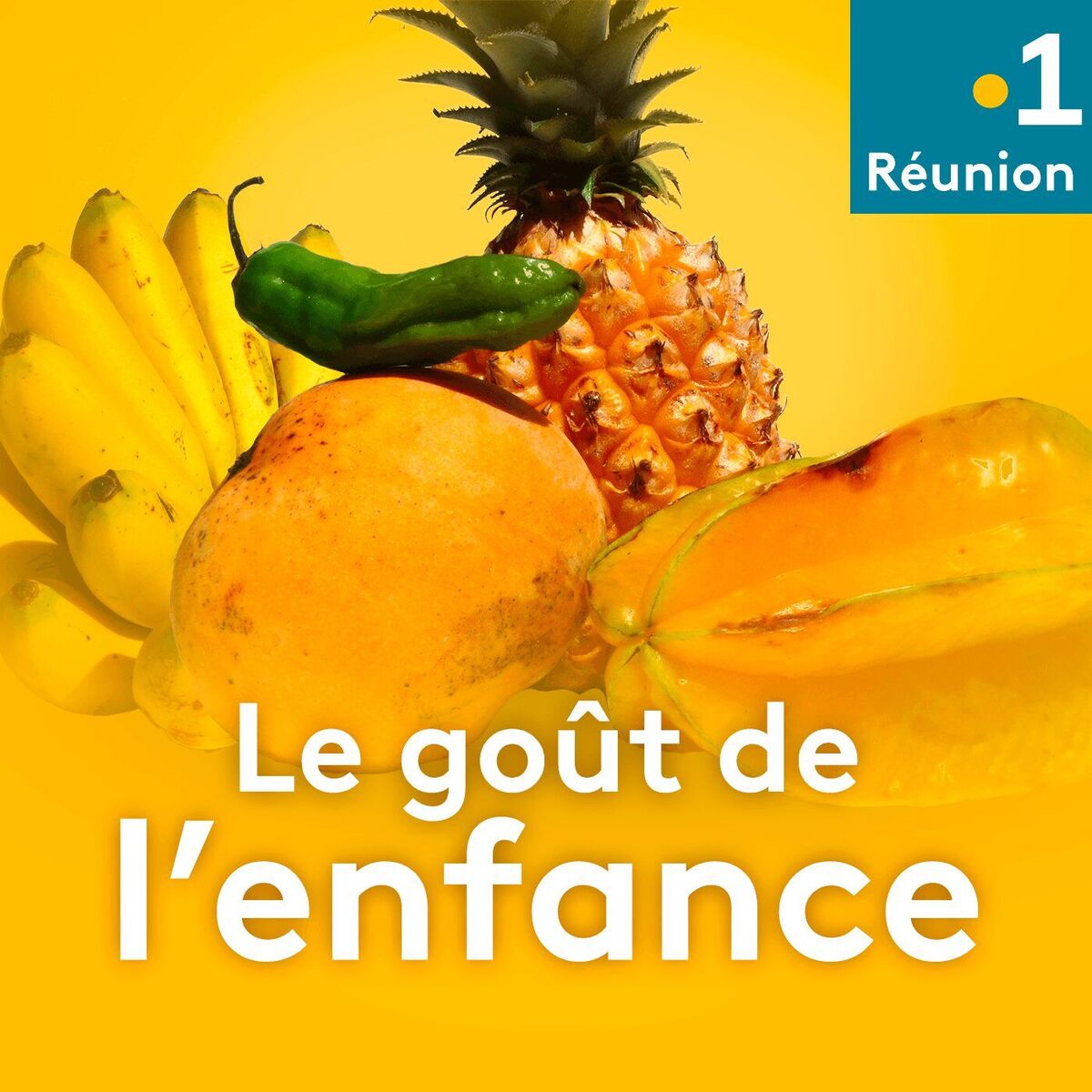Show cover of Le goût de l'enfance