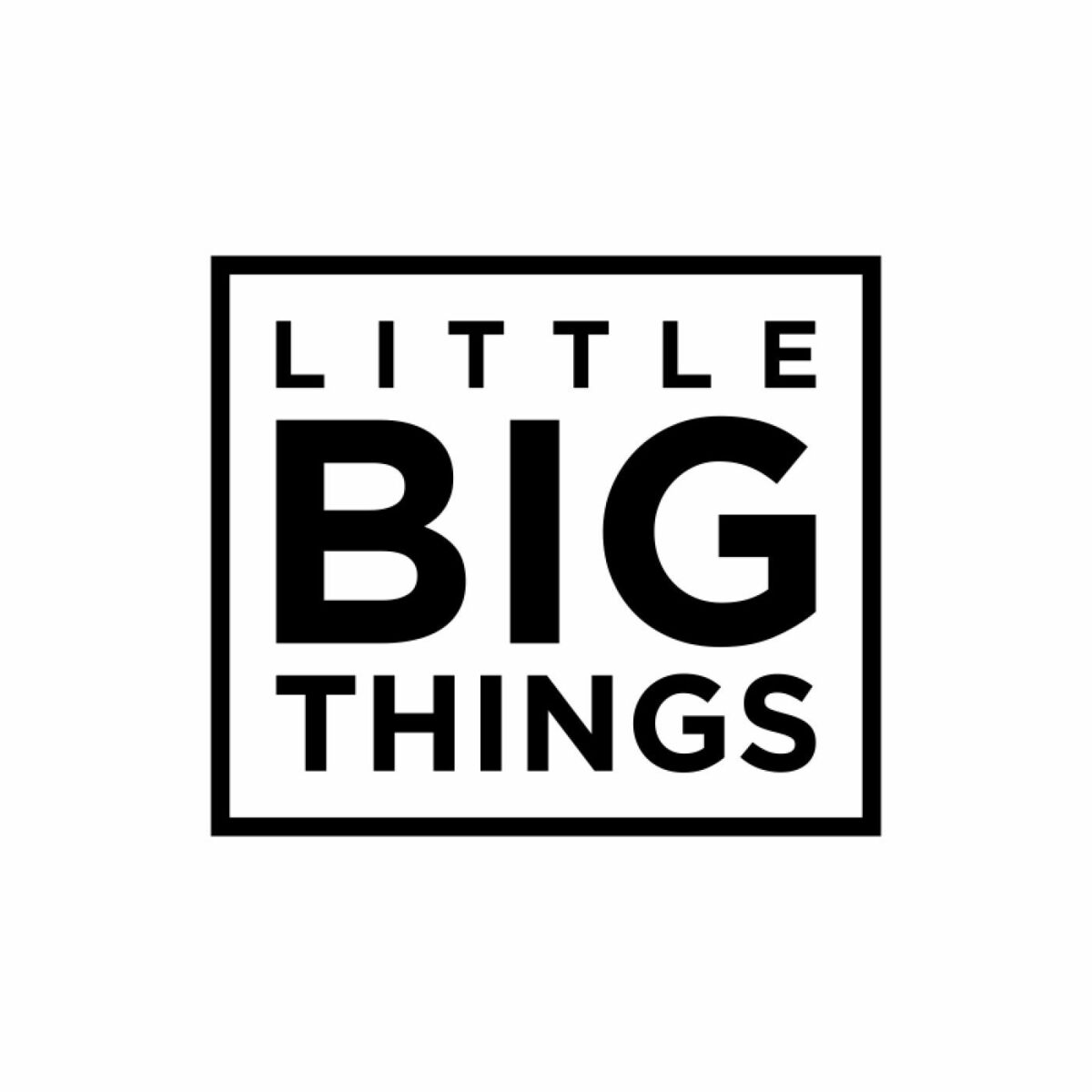 Show cover of LITTLE BIG THINGS