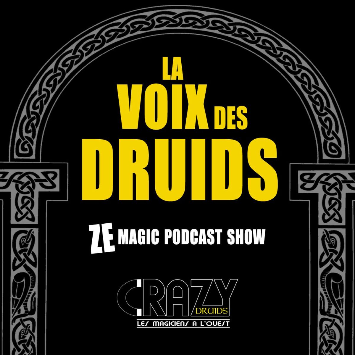 Show cover of La voix des druids