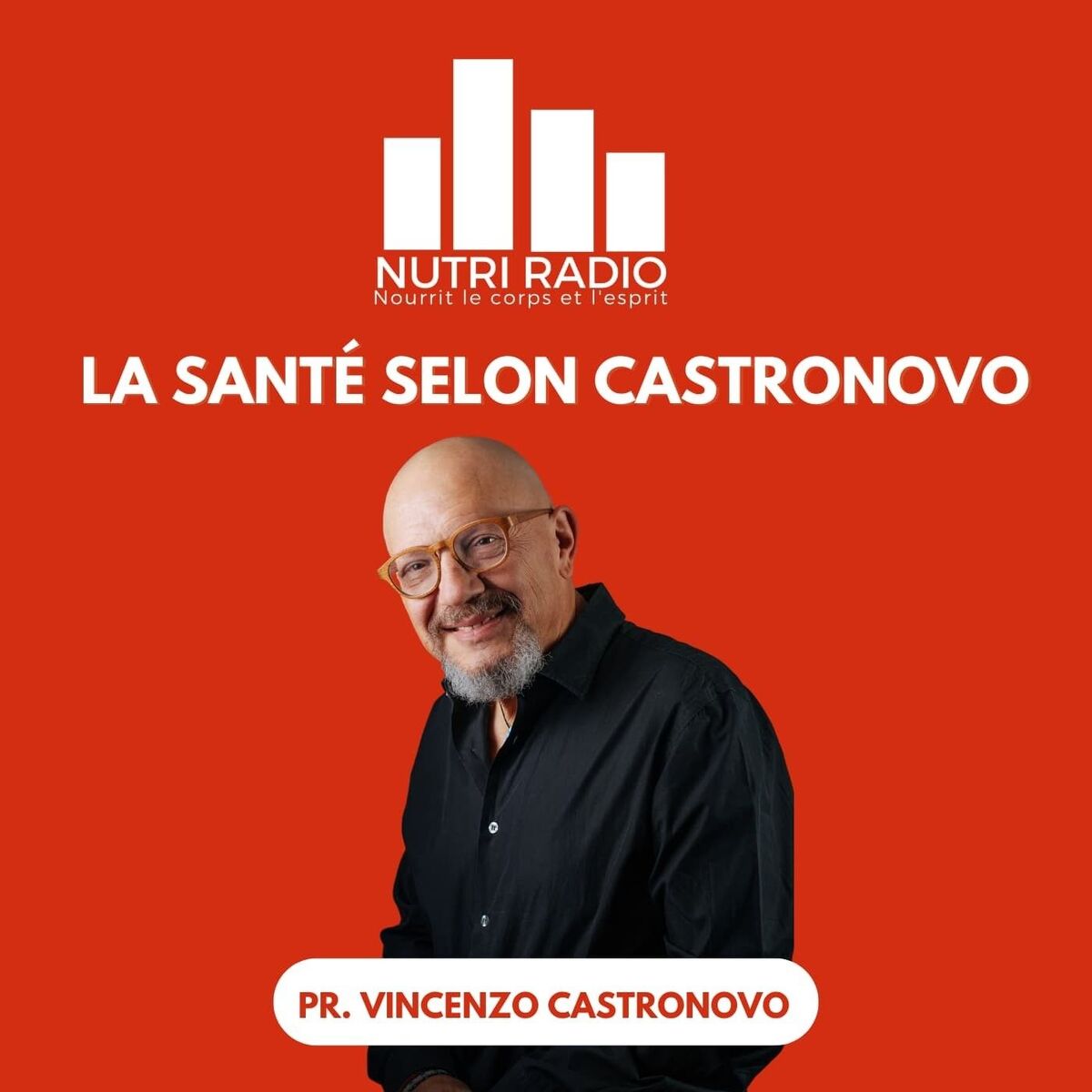 Show cover of La santé selon Castronovo
