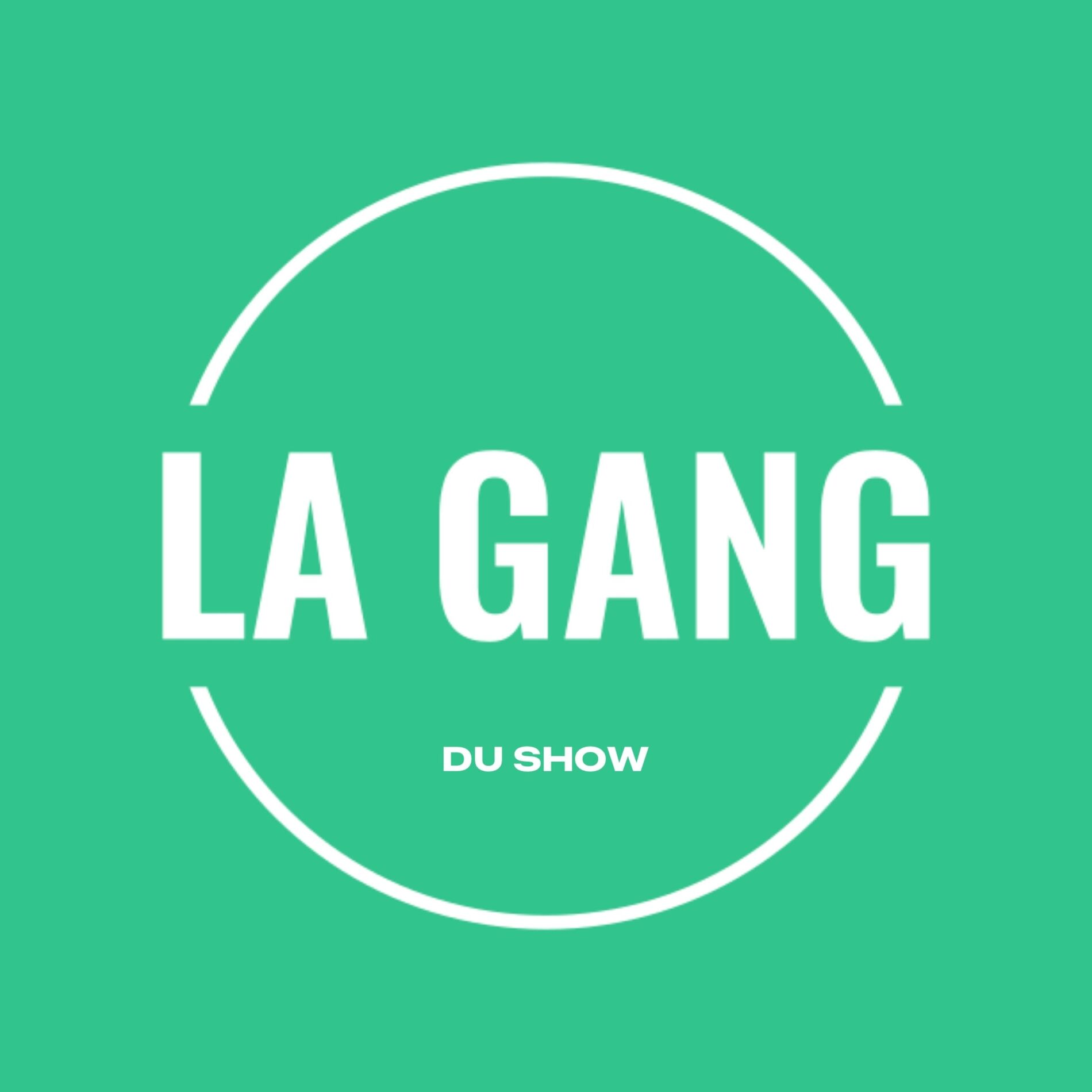 Show cover of La Gang du Show