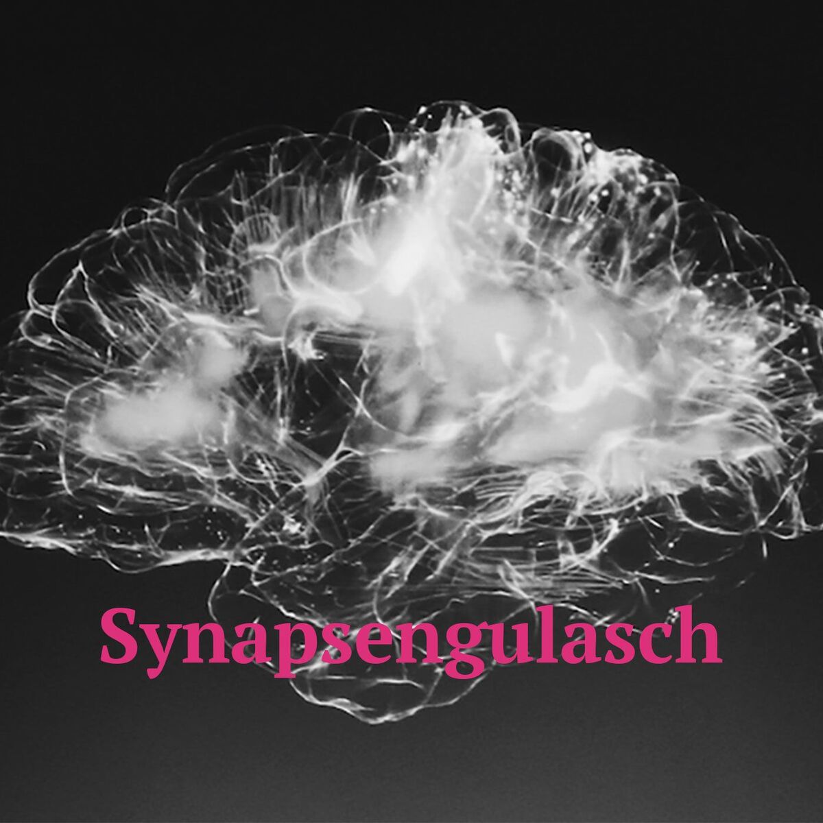 Show cover of Synapsengulasch - der Podcast für wissenshungrige Therapeut*innen