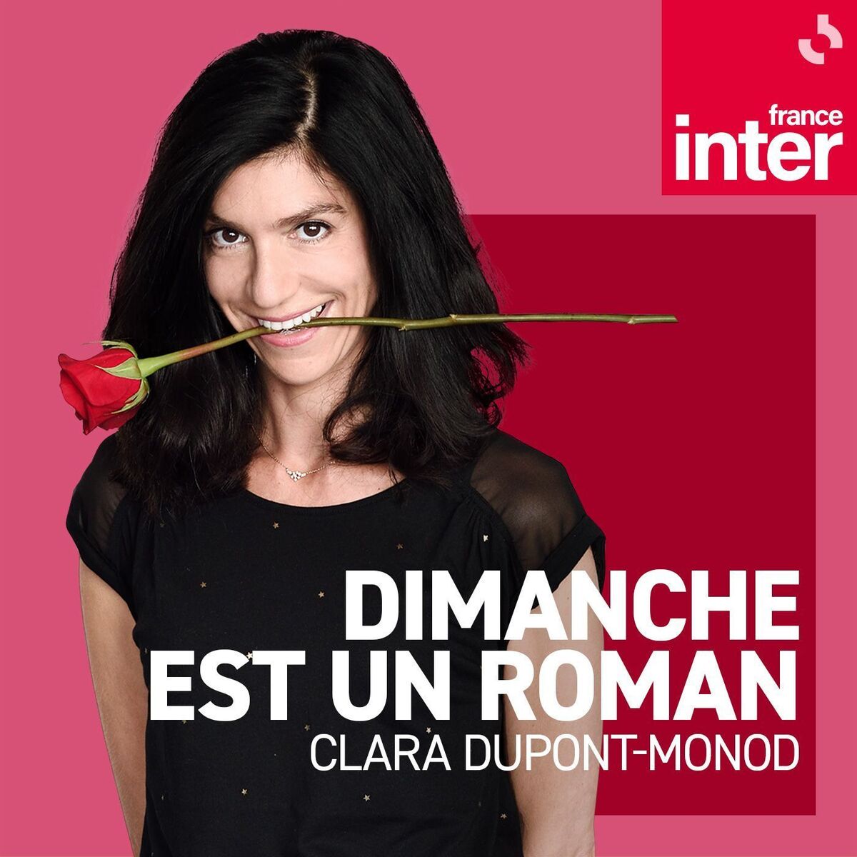 Show cover of Dimanche est un roman