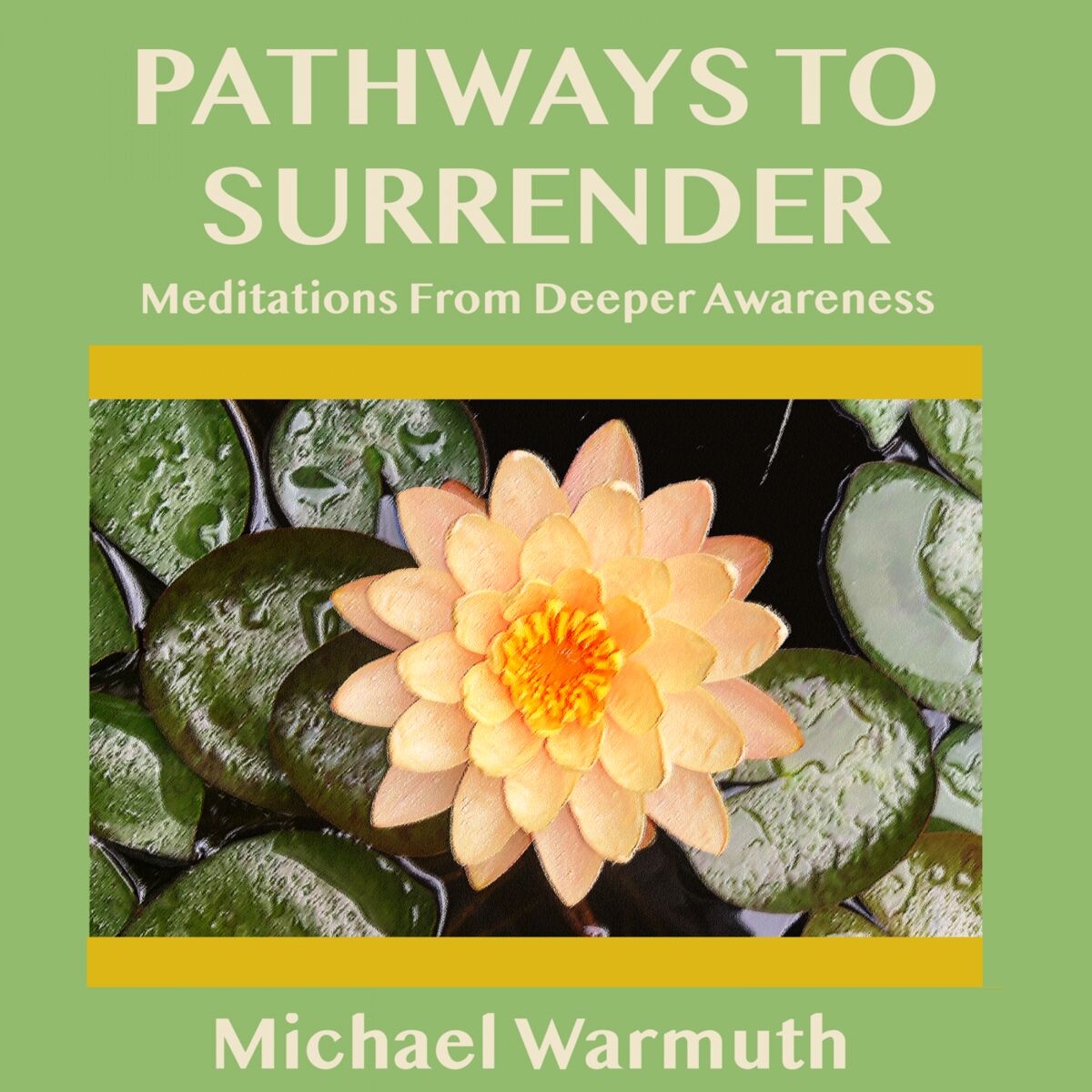 Show cover of Pathways To Surrender
