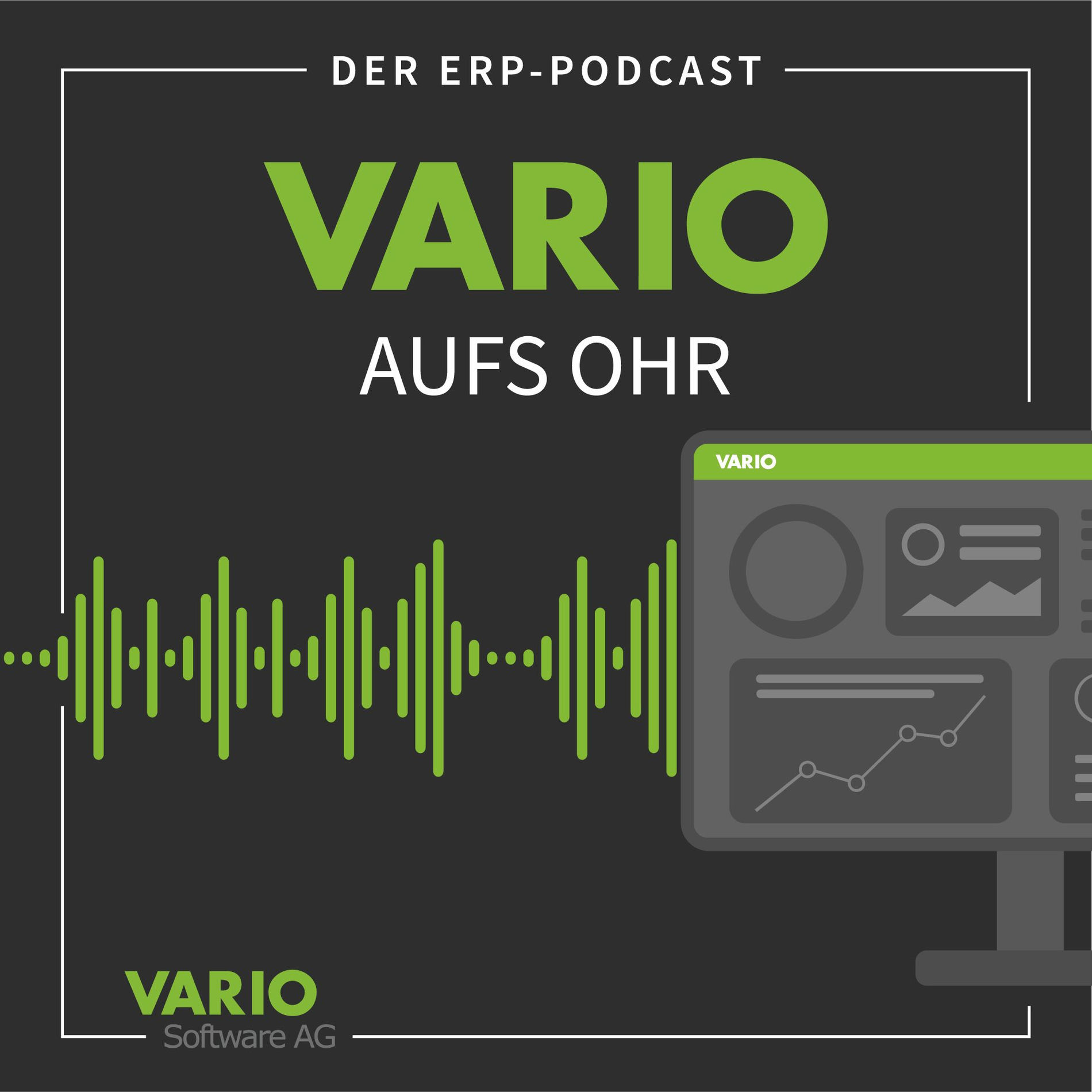 Show cover of VARIO aufs Ohr - Der ERP-Podcast