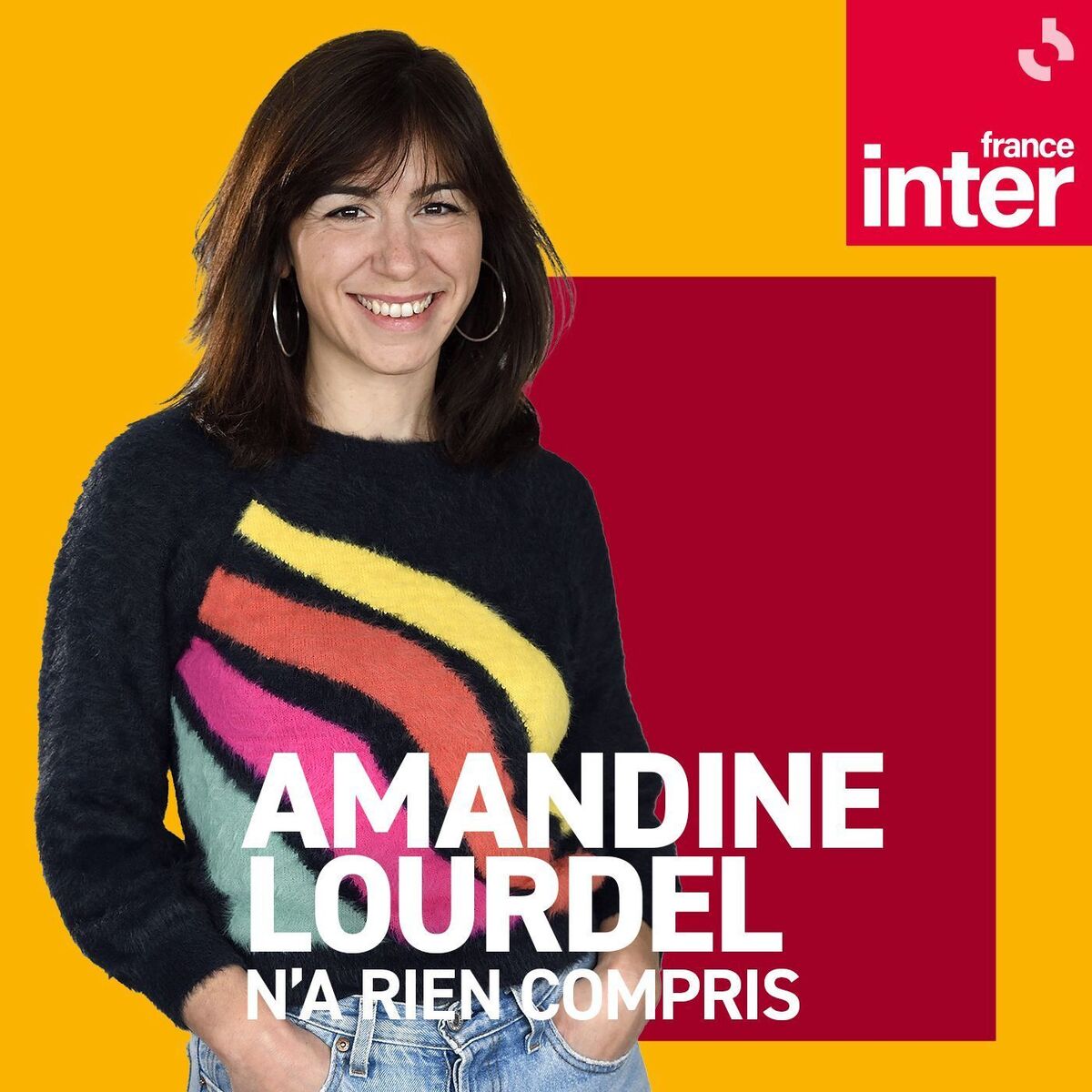 Show cover of Amandine Lourdel  n’a pas compris