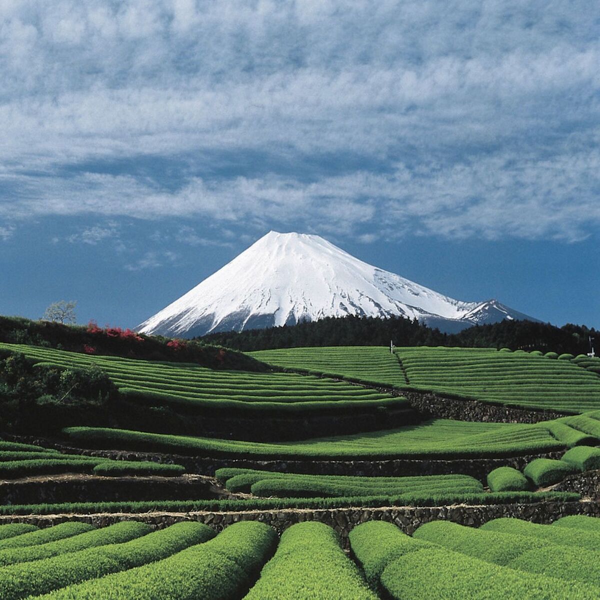 Show cover of Konichiwa – der Japan Podcast mit Sven Meyer und Andy Janz