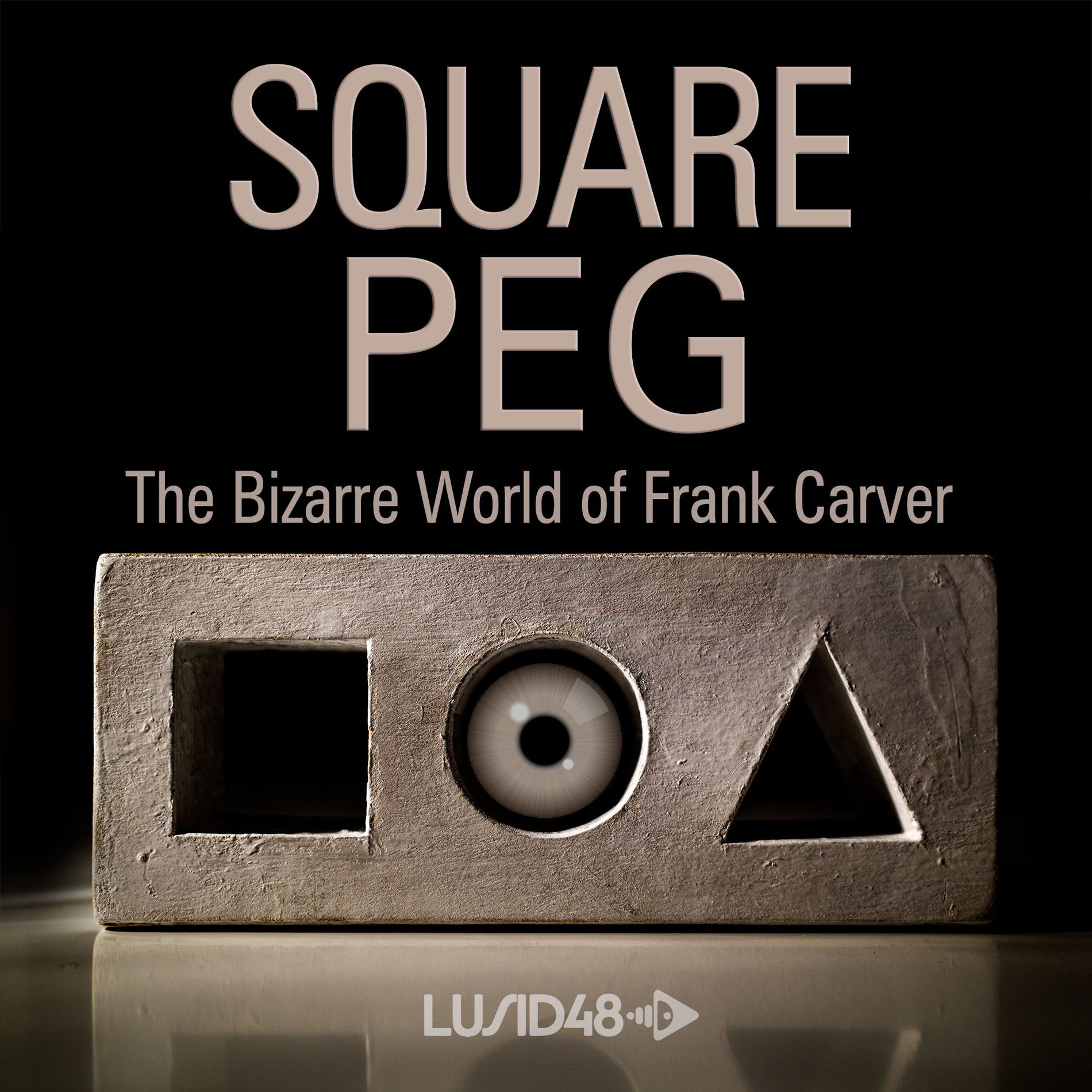 Show cover of Square Peg