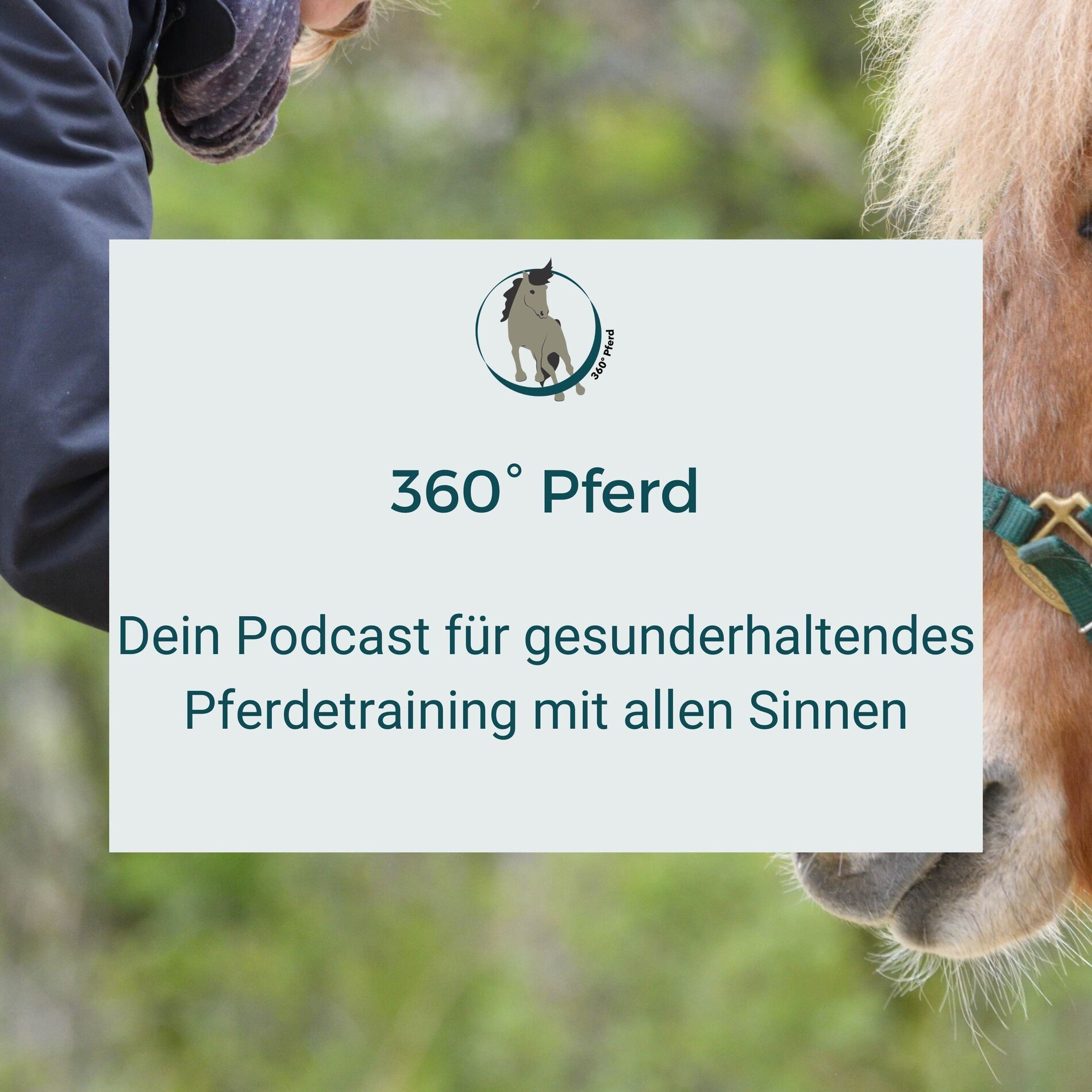 Show cover of 360° Pferd - Dein Podcast für gesunderhaltendes Pferdetraining mit allen Sinnen