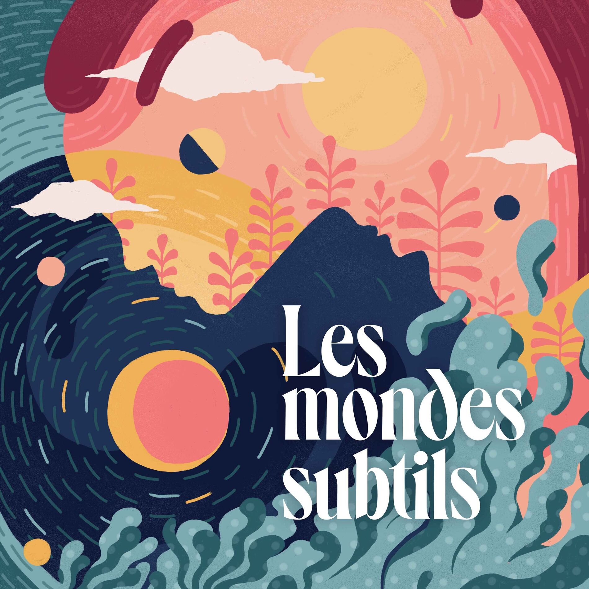 Show cover of Les Mondes Subtils