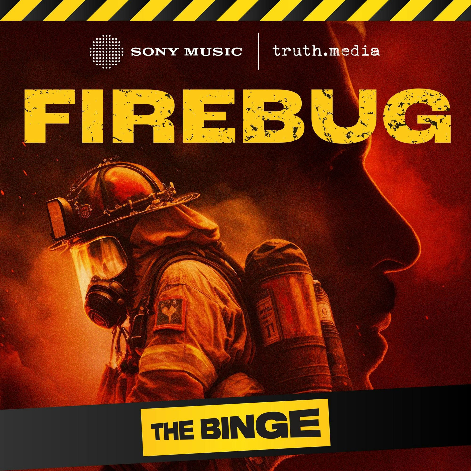 Show cover of Firebug