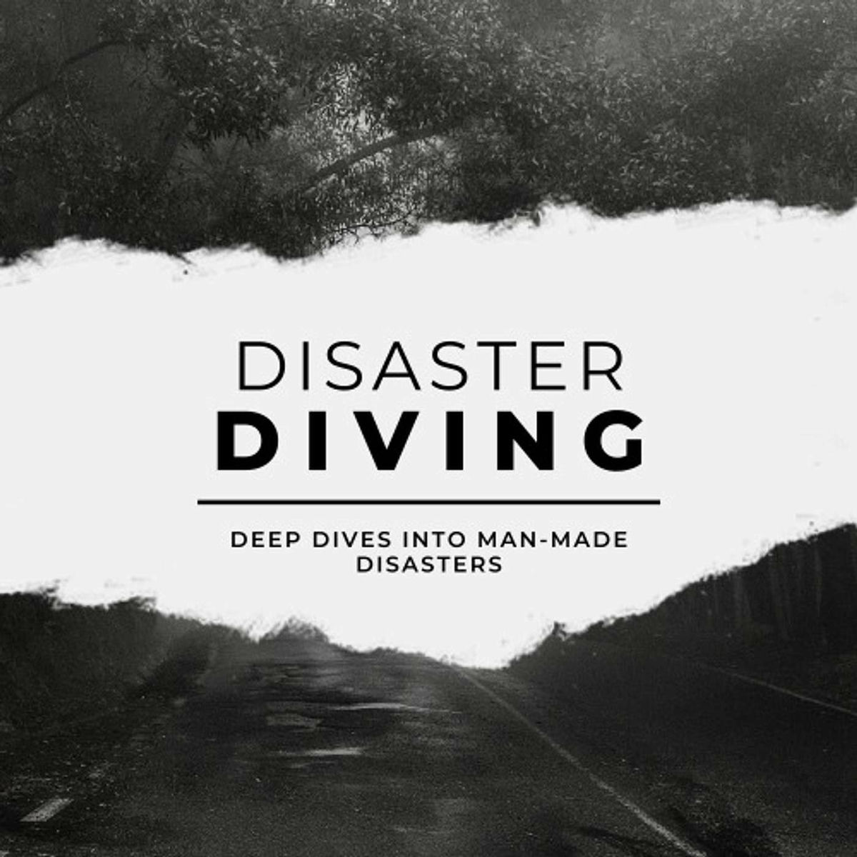 Show cover of Disaster Diving