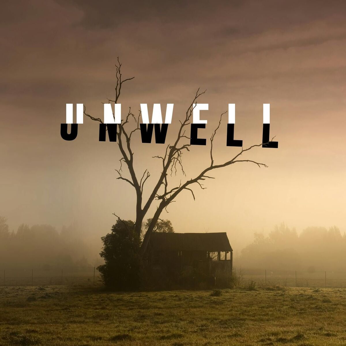 Show cover of Unwell, a Midwestern Gothic Mystery