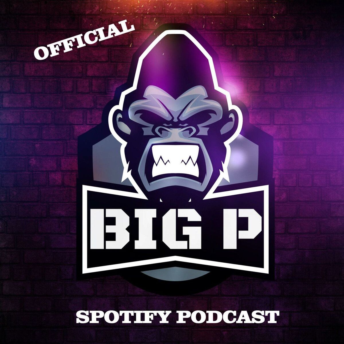Show cover of DJ BIG P PODCAST