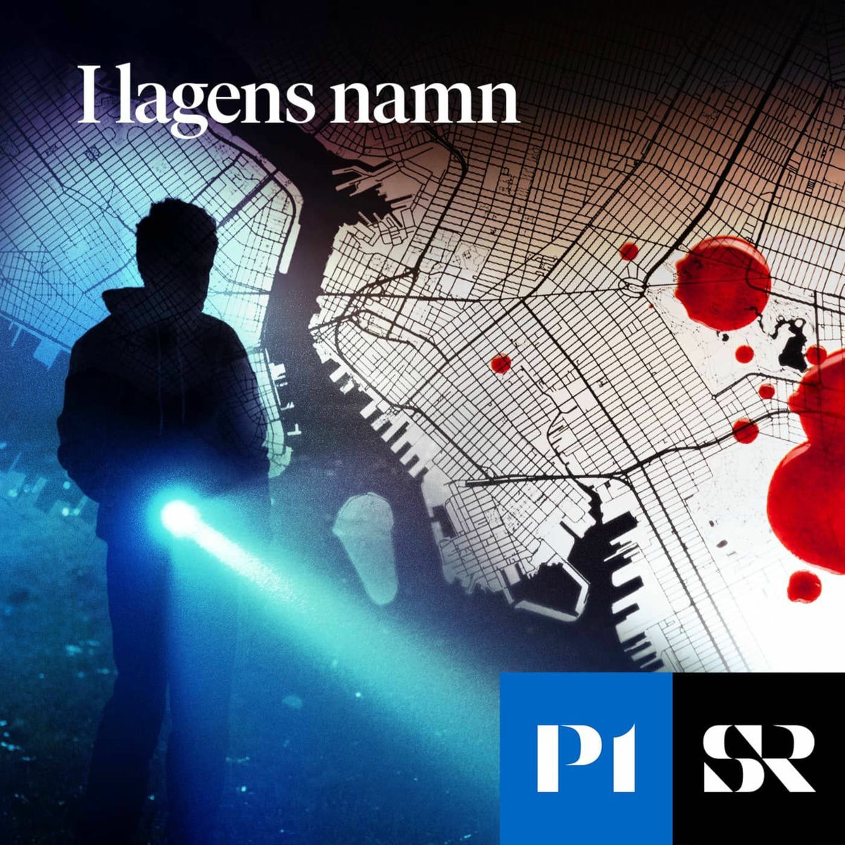 Show cover of I lagens namn