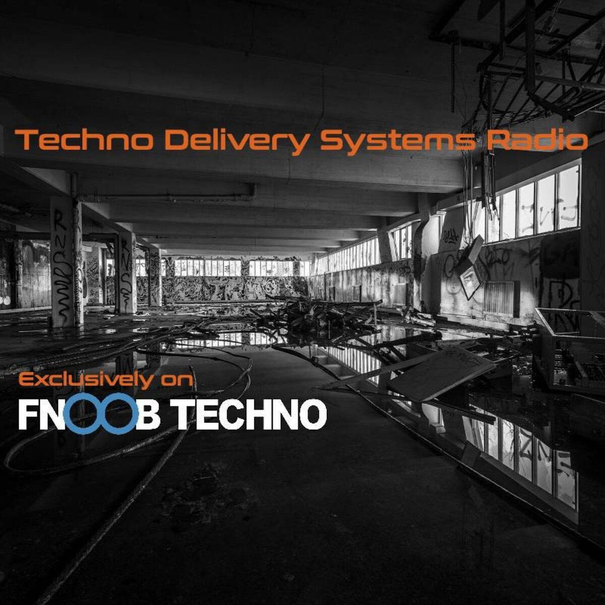 Show cover of Techno Delivery Systems Radio