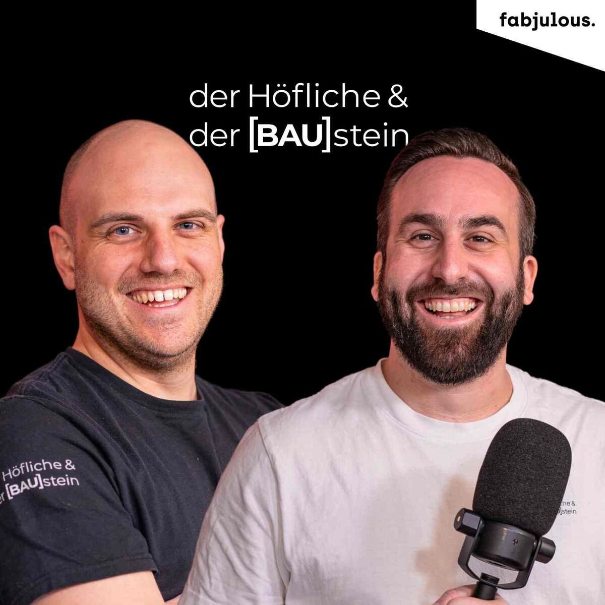 Show cover of Bau Podcast - der Höfliche & der BAUstein