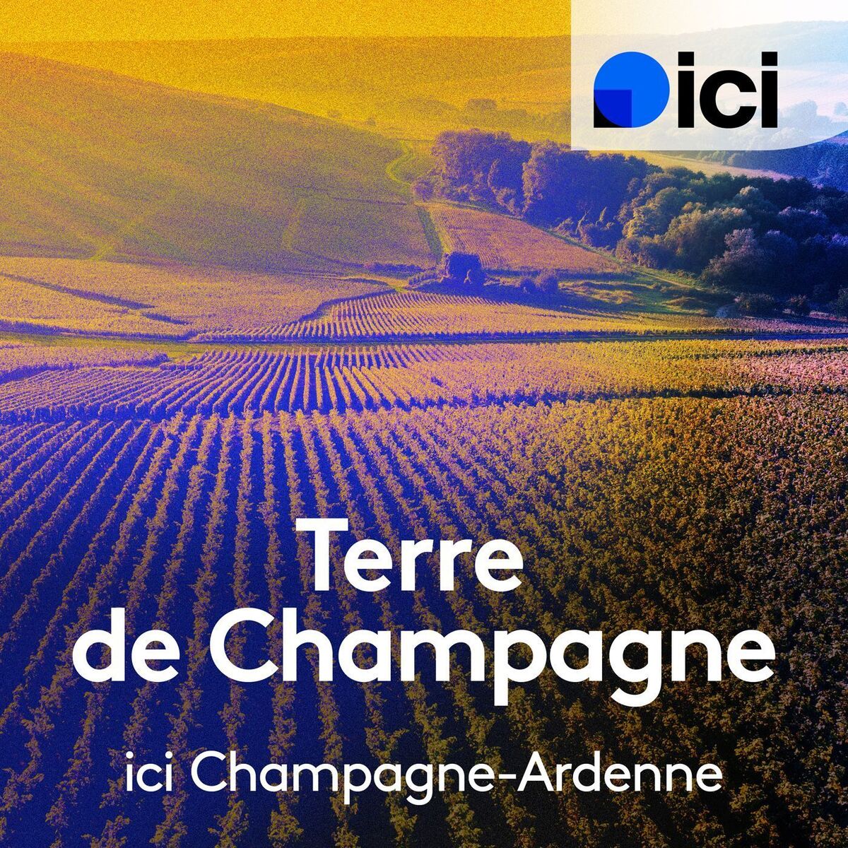 Show cover of Terre de Champagne-Ardenne