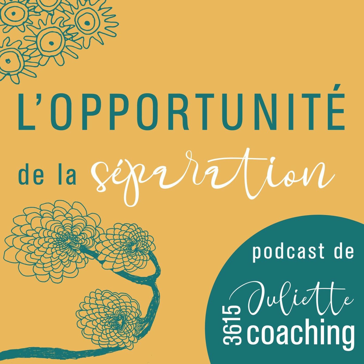 Show cover of l'opportunité de la séparation