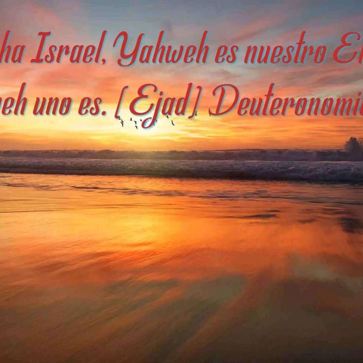 Show cover of Emisora yahweh elohim