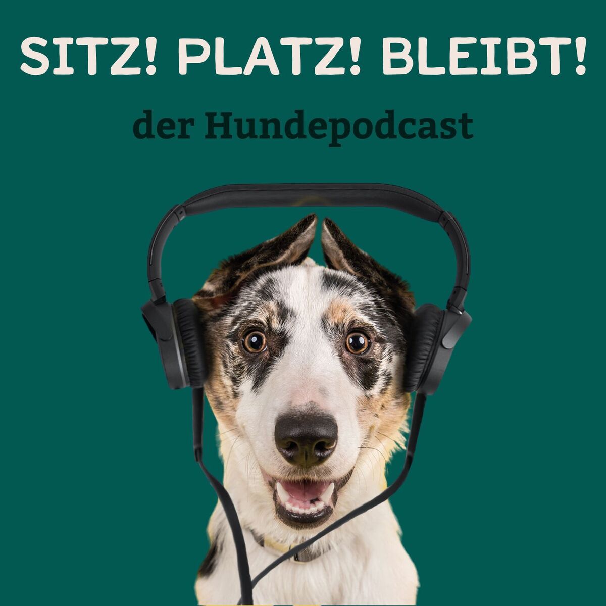 Show cover of Sitz! Platz! Bleibt! - der Hundepodcast